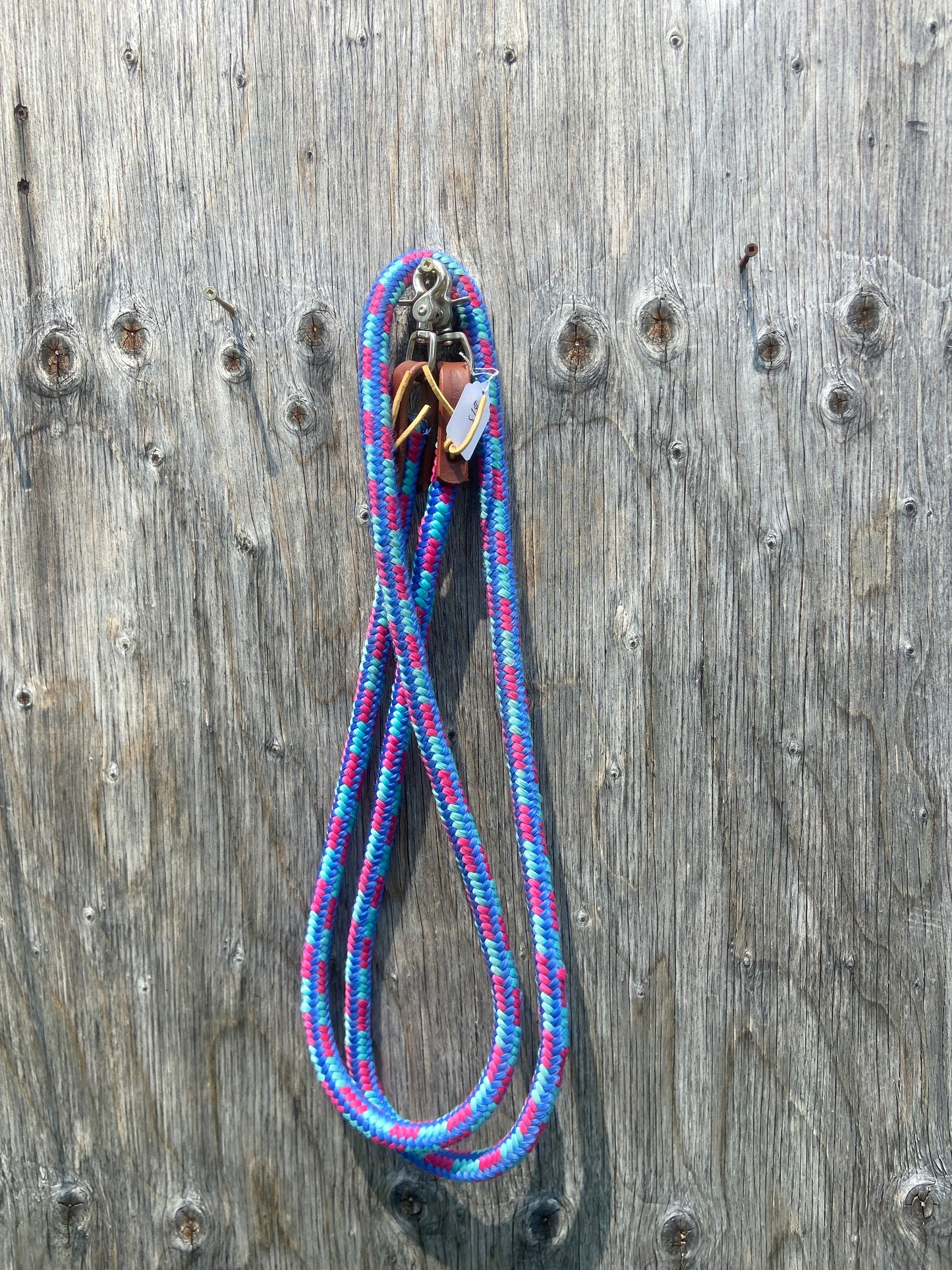 Used nylon reins