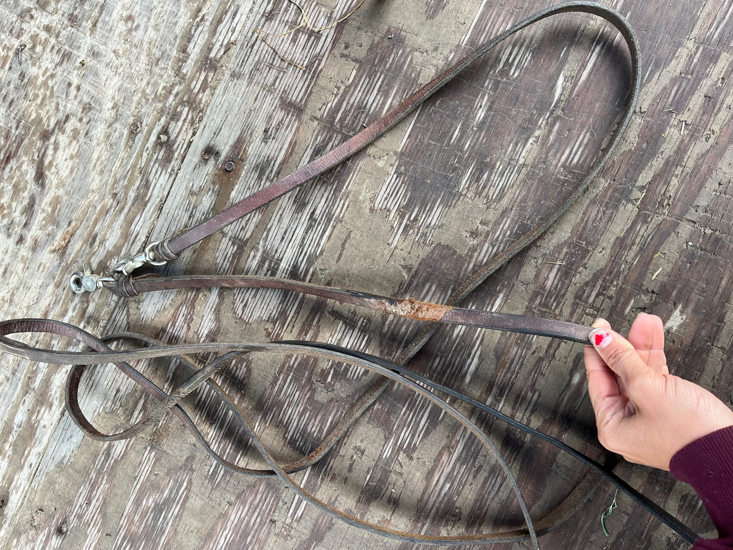 Split reins w snaps have wear