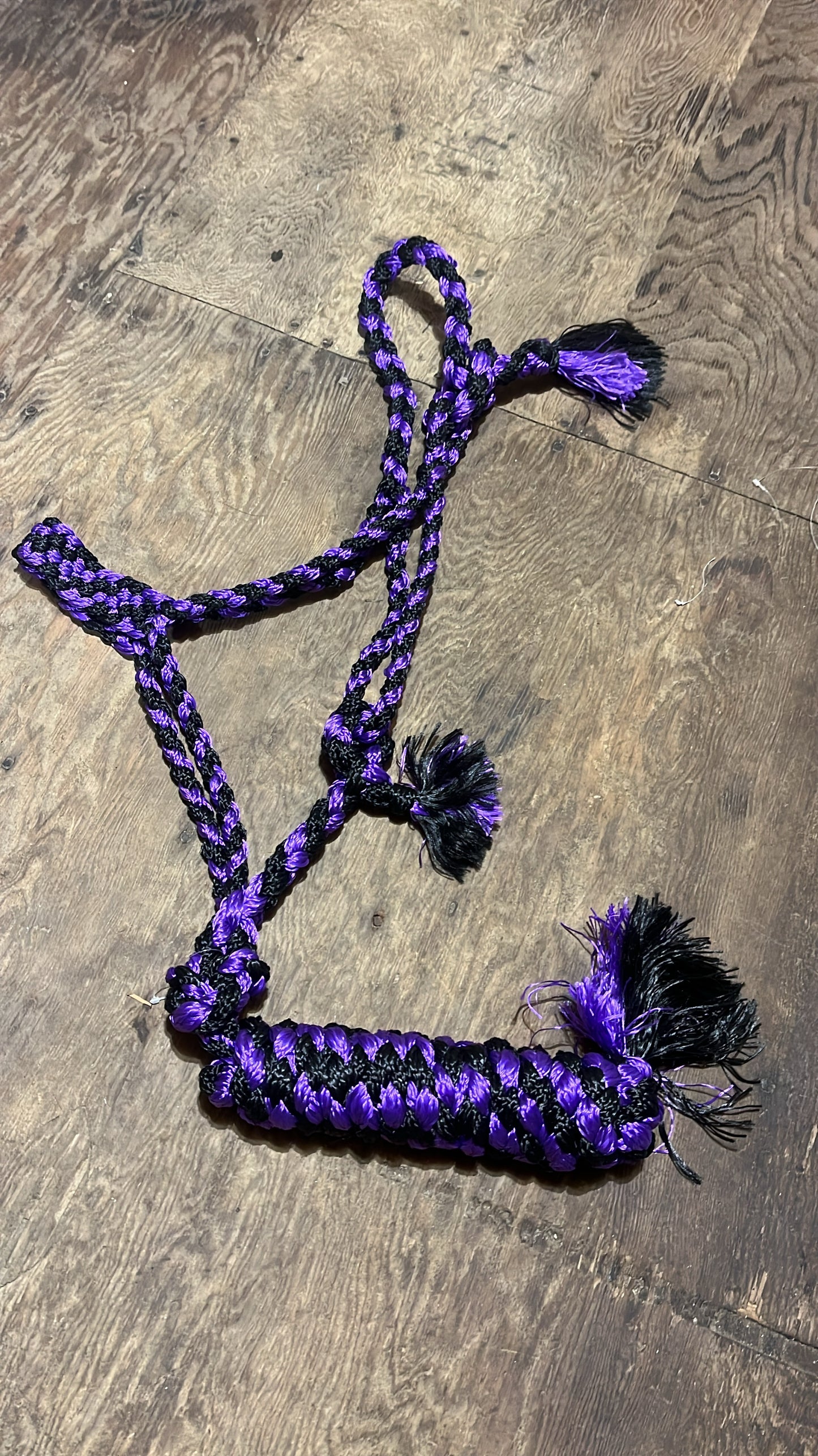 Purple black Muletape halter with lead