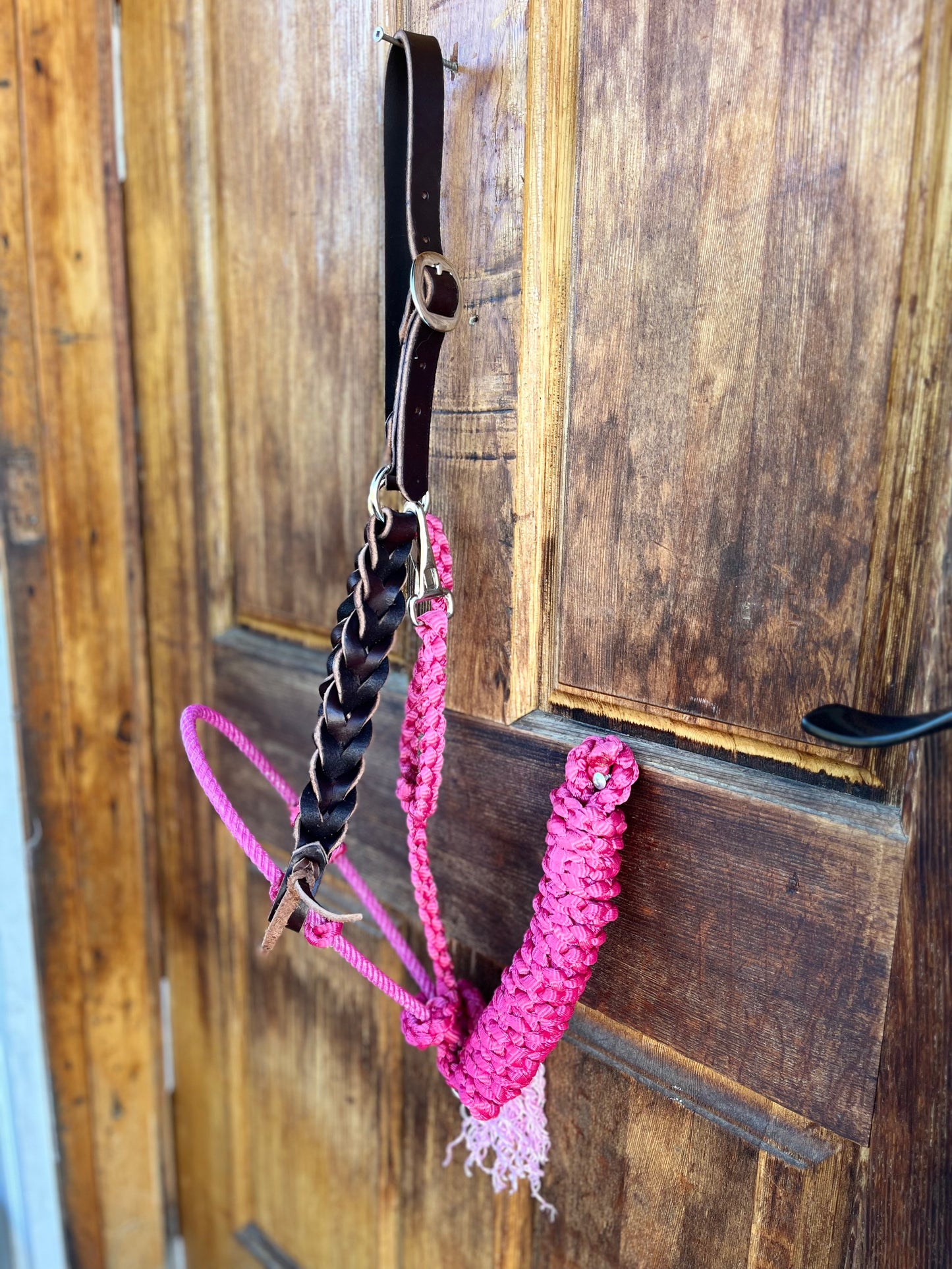 Pink lariat with Muletape halter set with braided leather cheeks