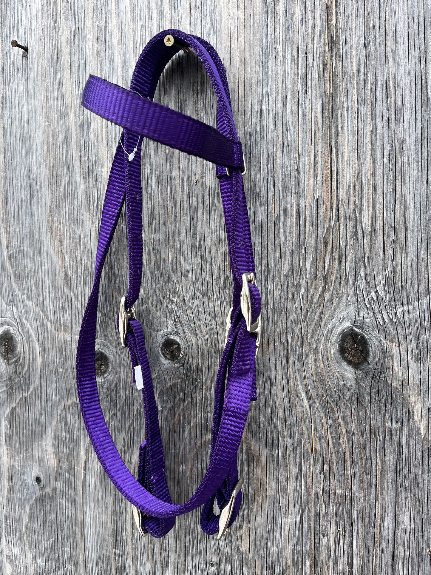 Small Pony purple browband nylon headstall
