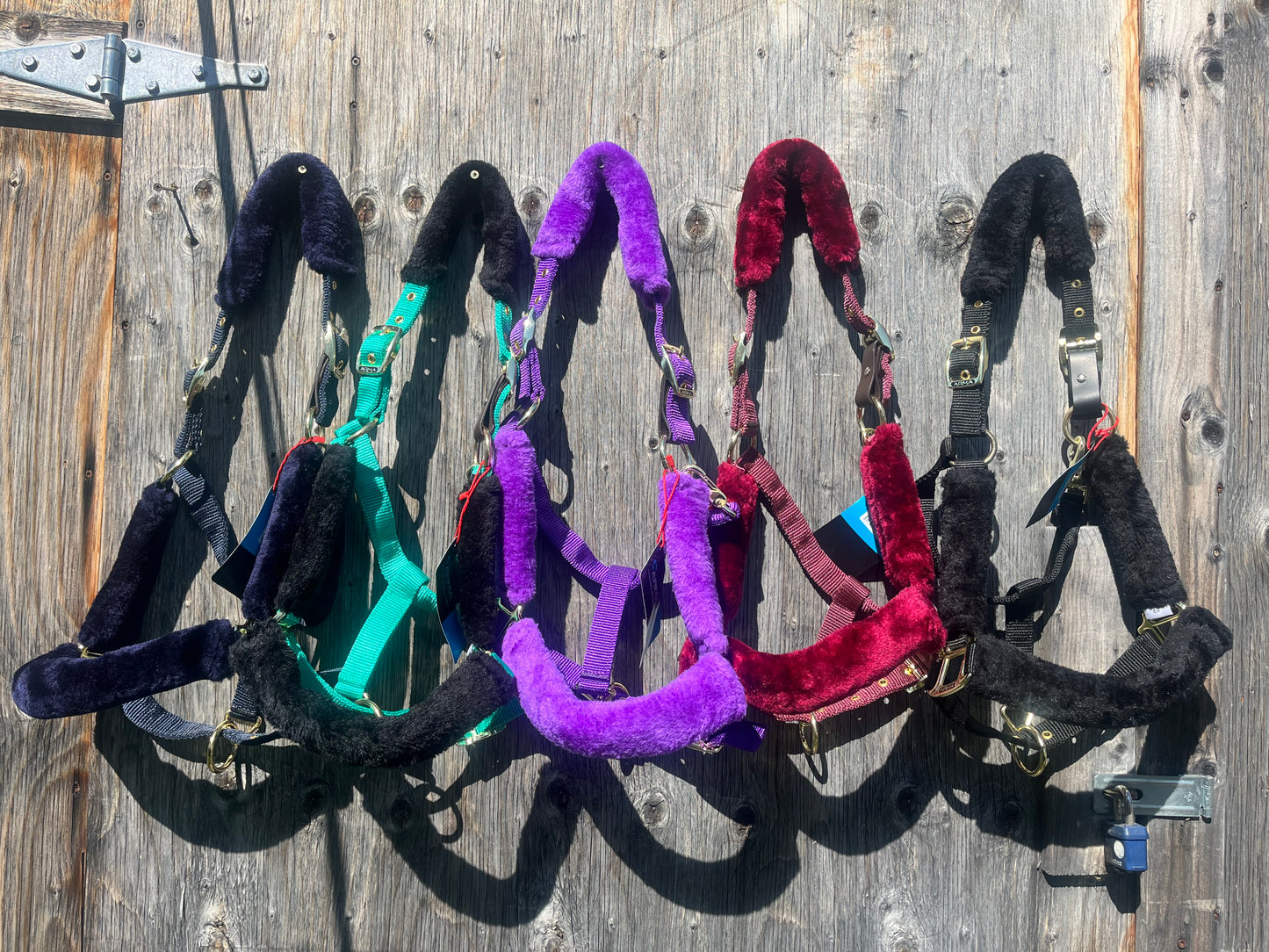 Colored padded fleece breakaway halters