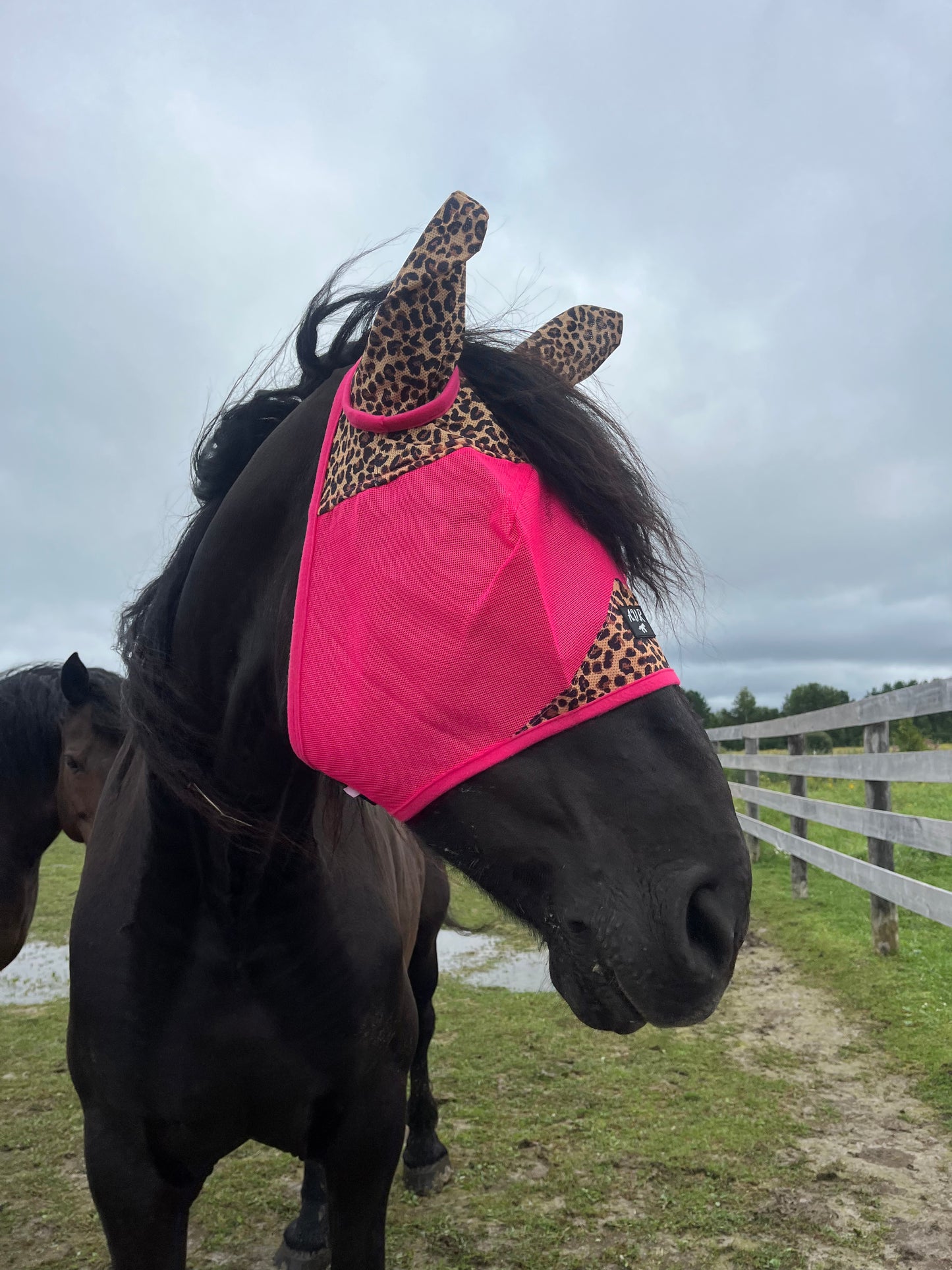 Pink Cheetah durable Mesh Fly masks ears