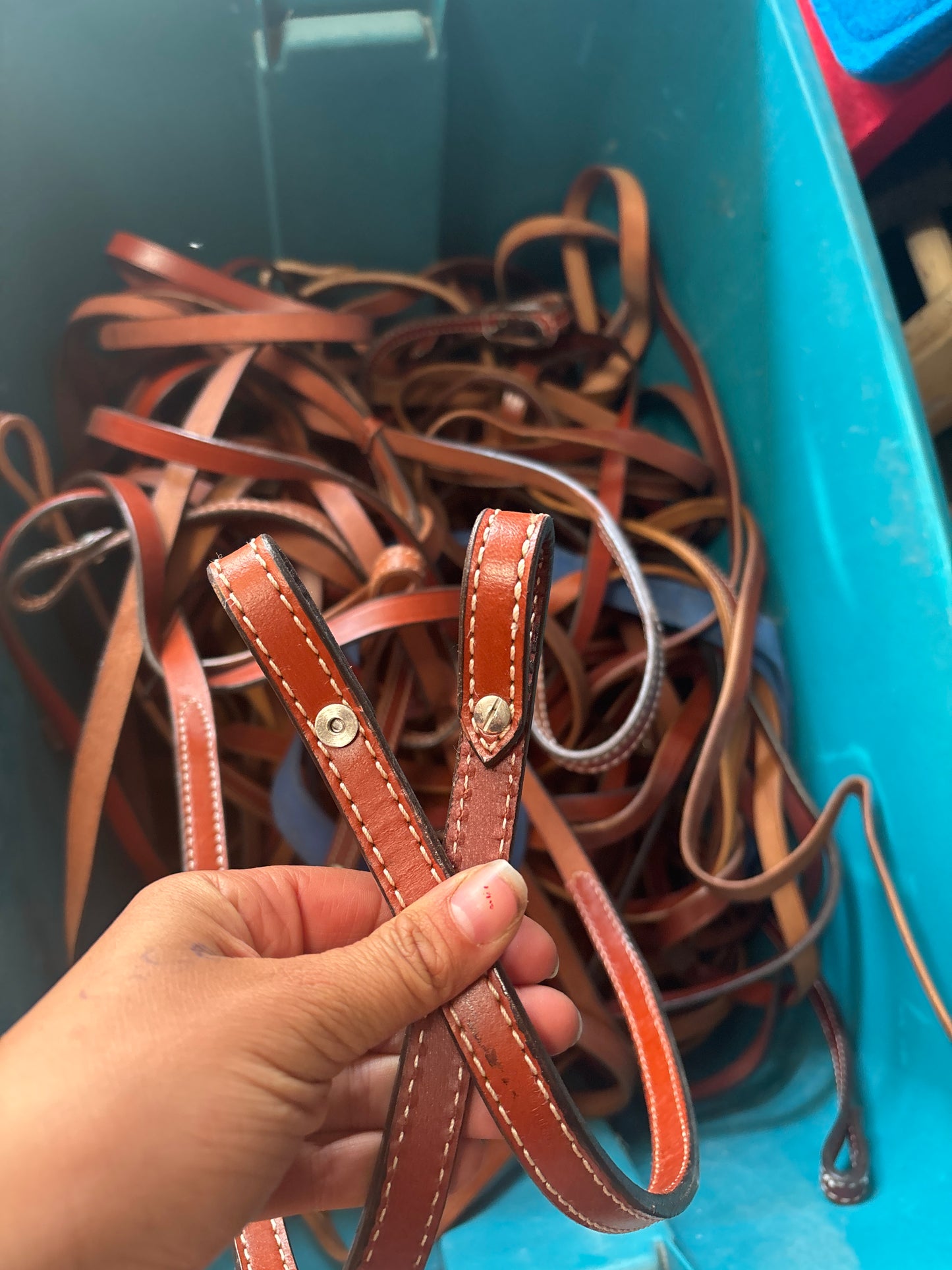 Assorted split reins new