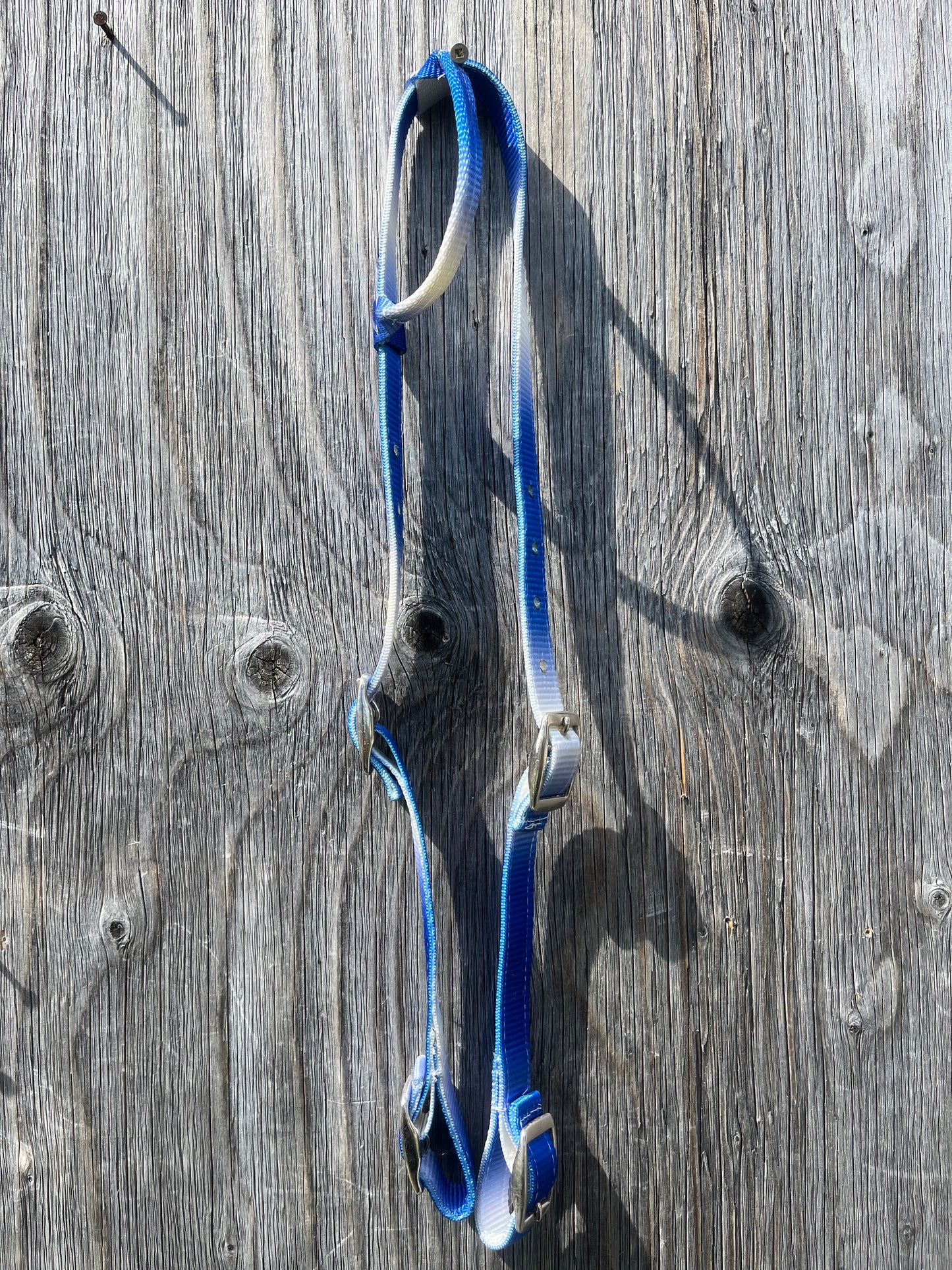 Ombre quick change nylon headstalls