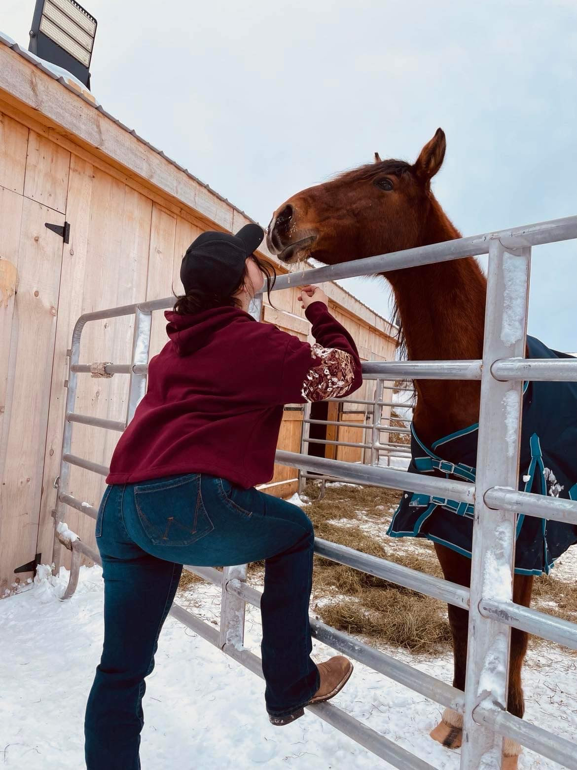 Wrangler the ultimate riding jeans , made for women who were made for riding, bootcut willow
