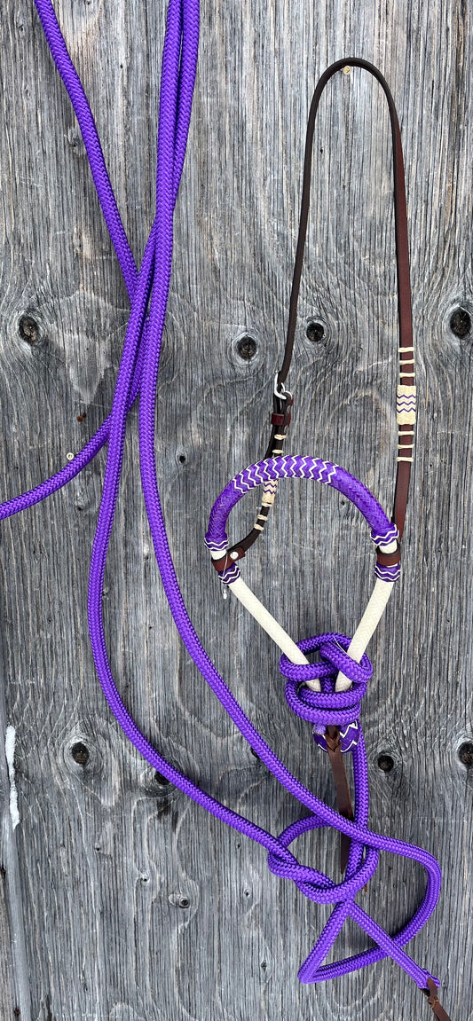 Purple bosal hanger set with mecate
