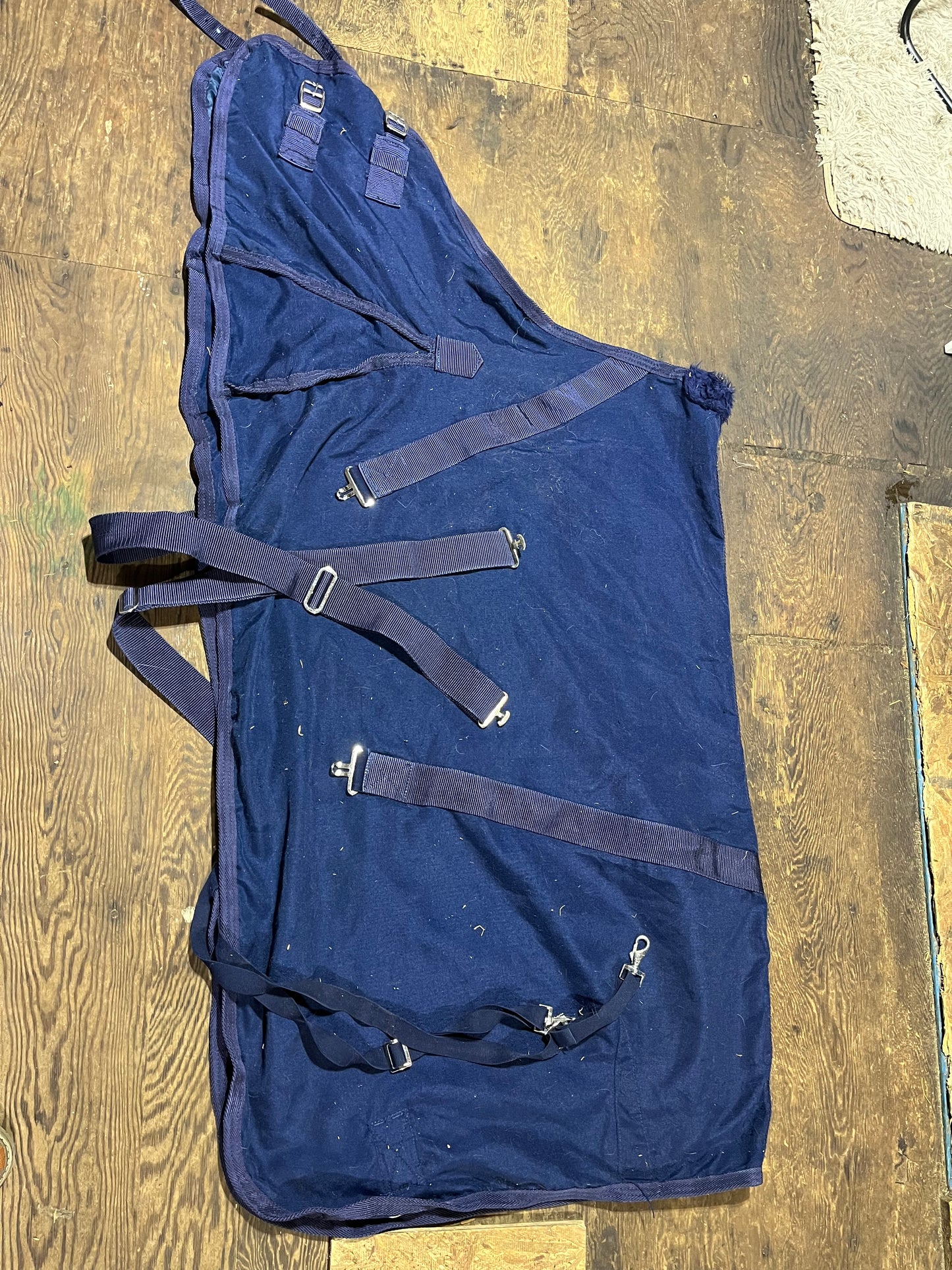 60” stable sheet