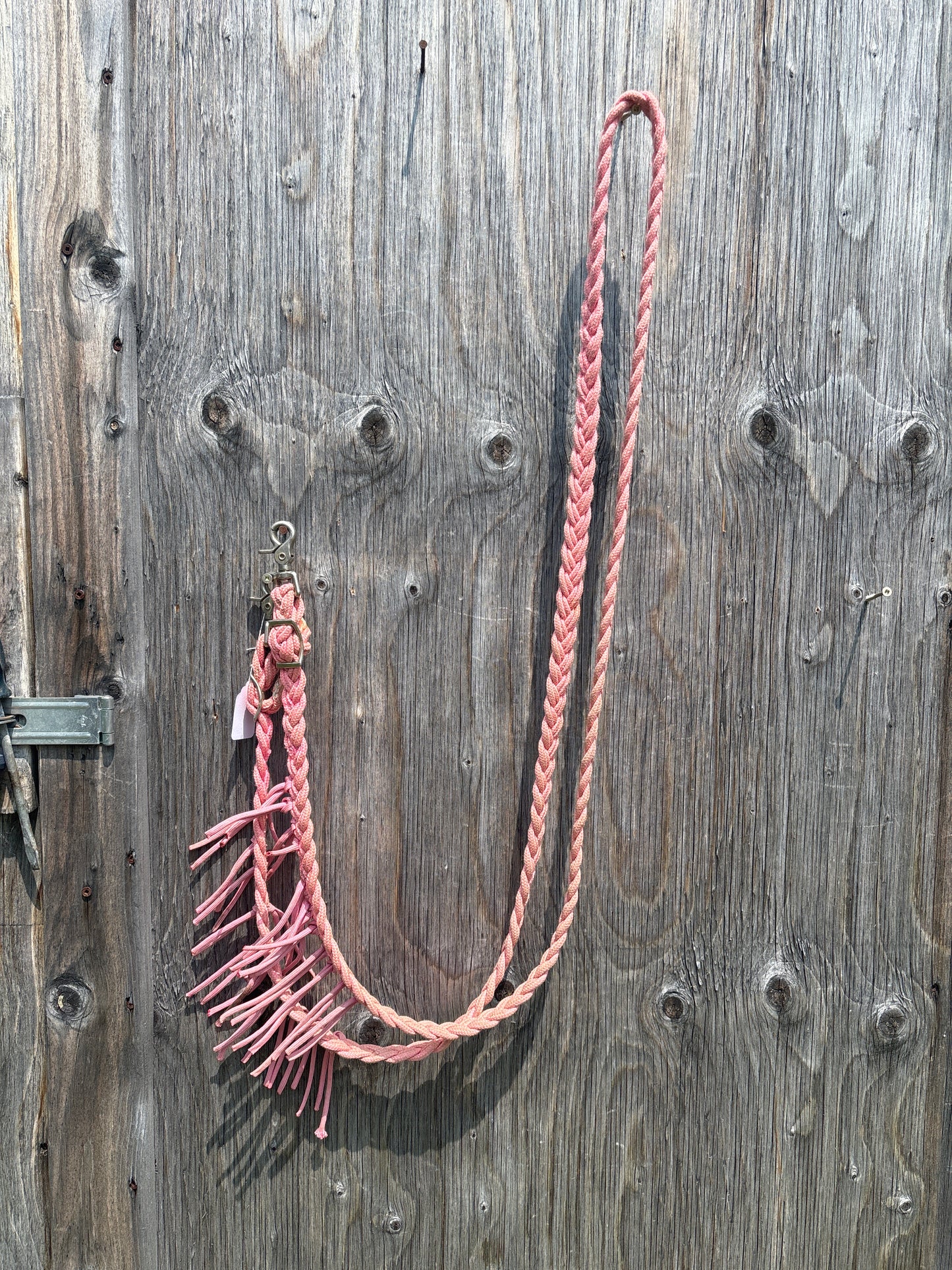 Pretty pink reins with tassels
