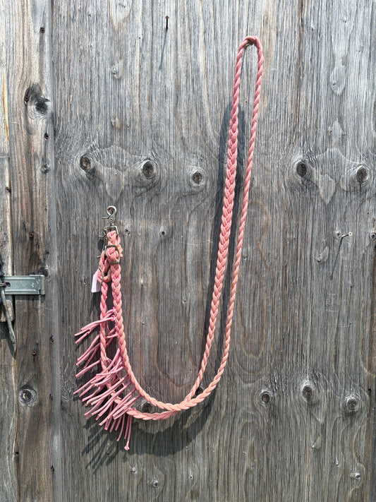 Pretty pink reins with tassels
