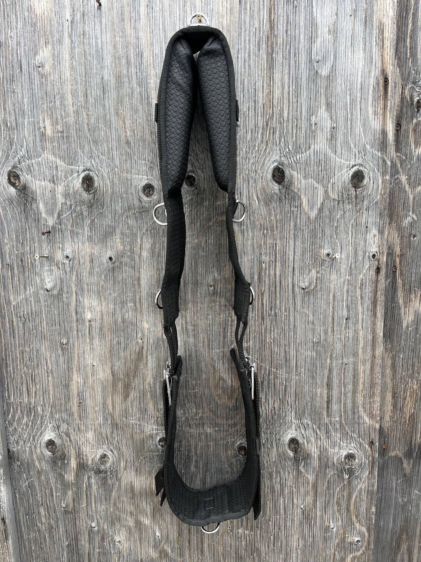 Nylon horse sized surcingle set