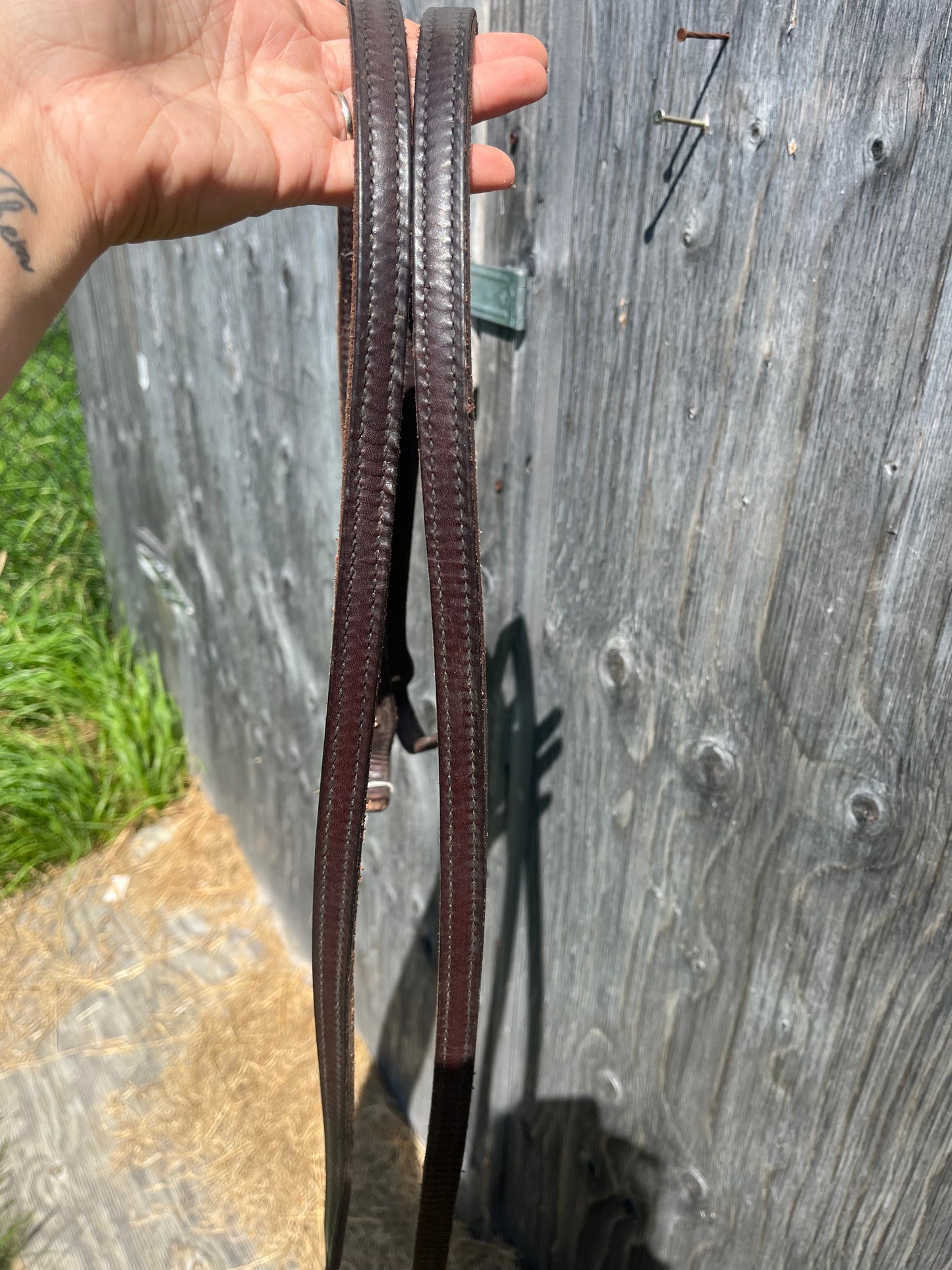 Billy cook split reins