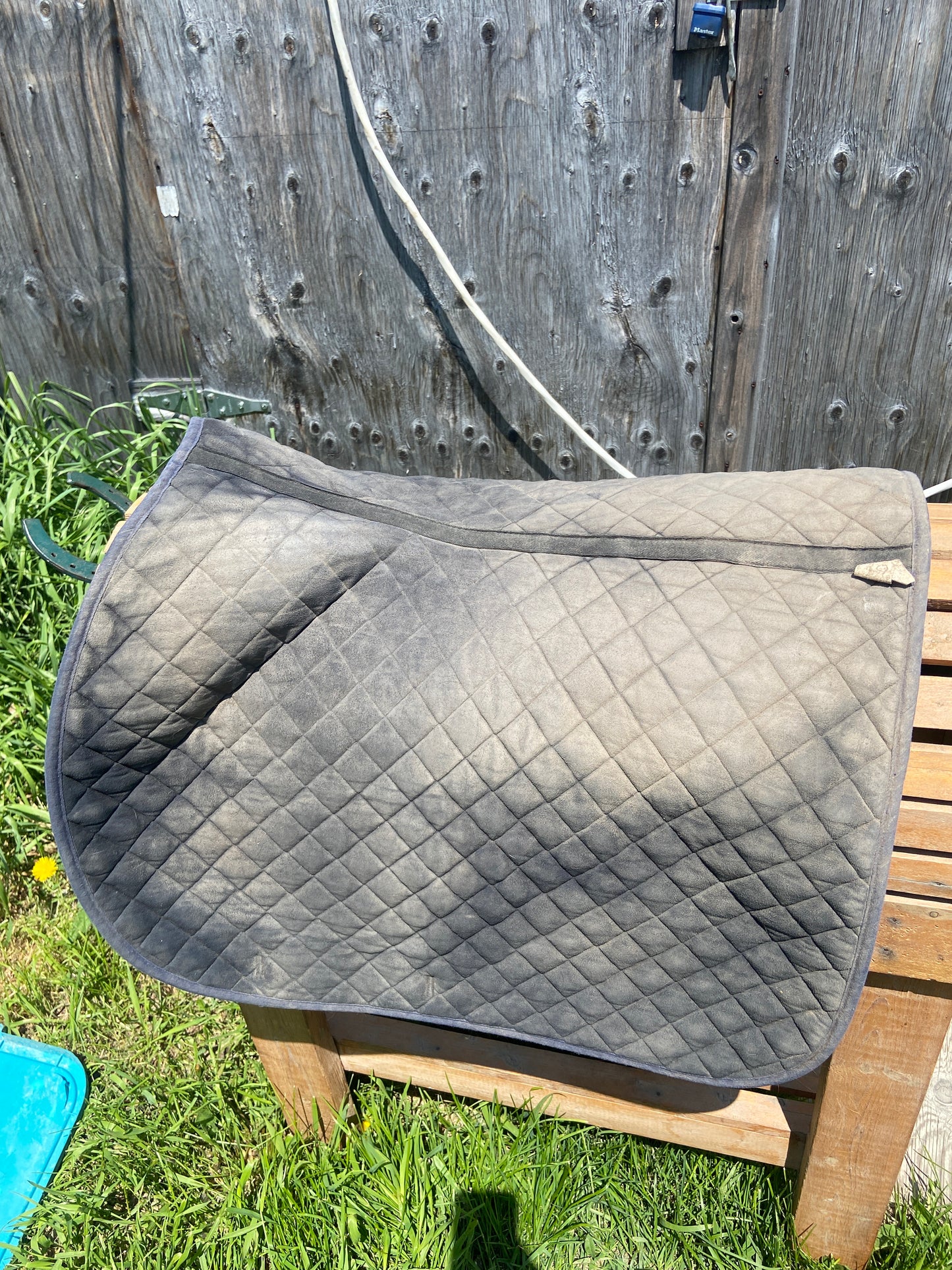 Blue plaid pad