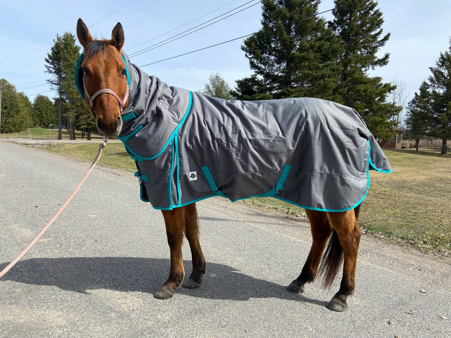 Grey and teal 300 gram winter turnouts with removable hood