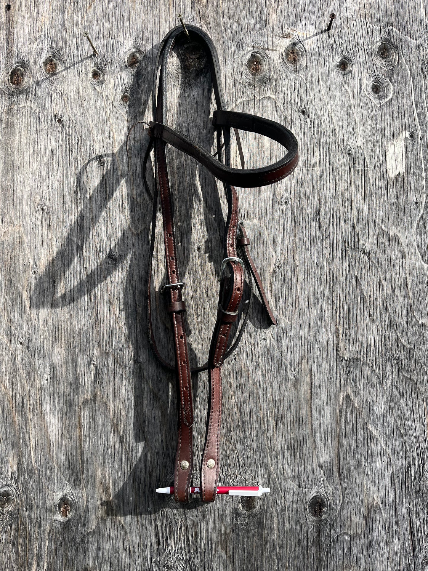 Draft leather headstall missing 1 rivet
