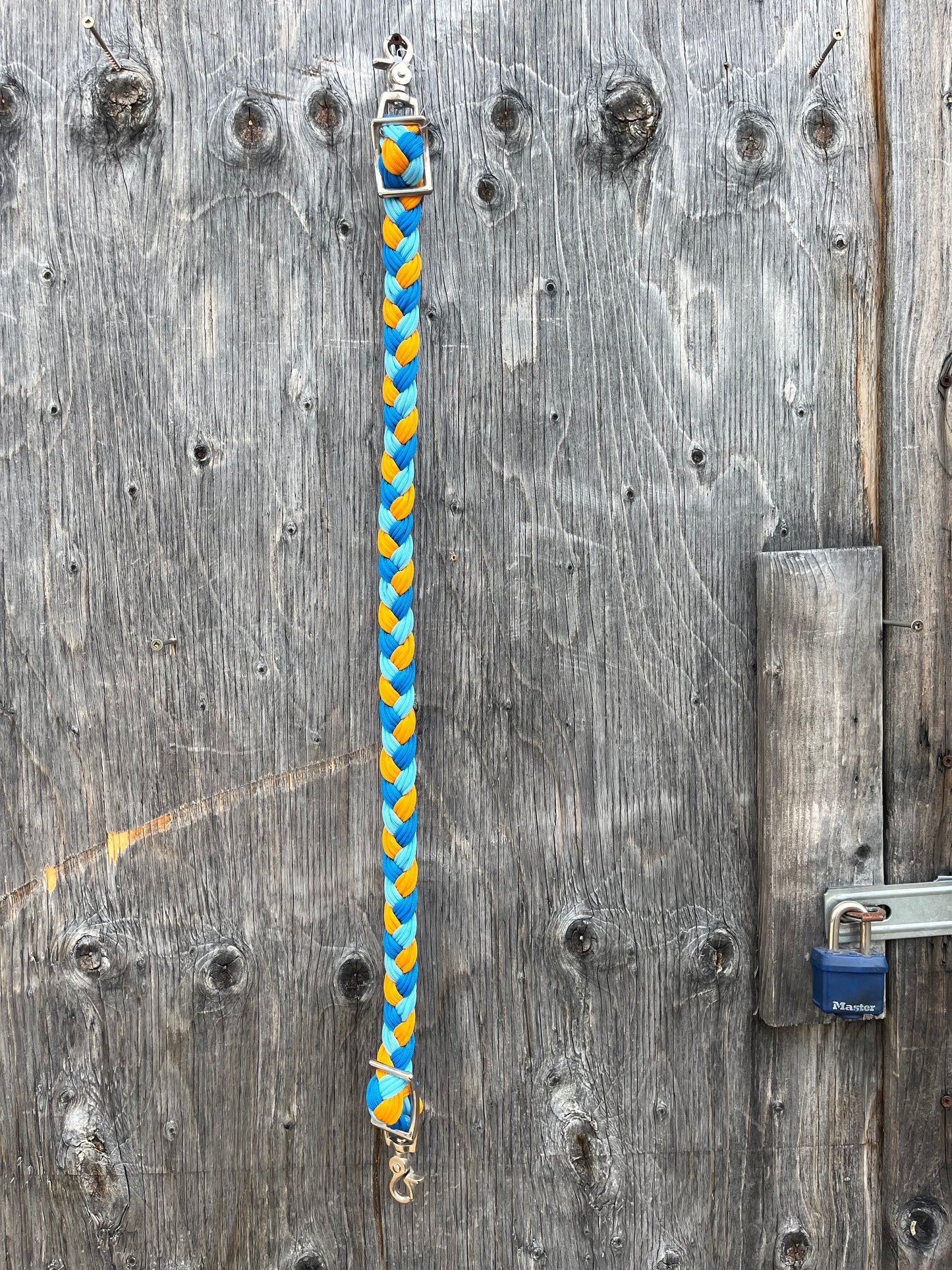 Orange royal blue and light blue adjustable wither strap