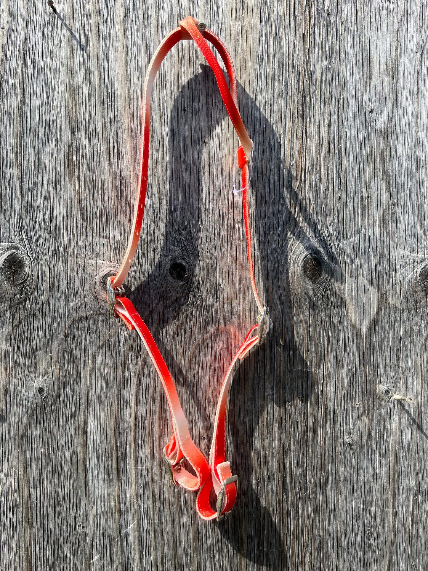Ombre quick change nylon headstalls