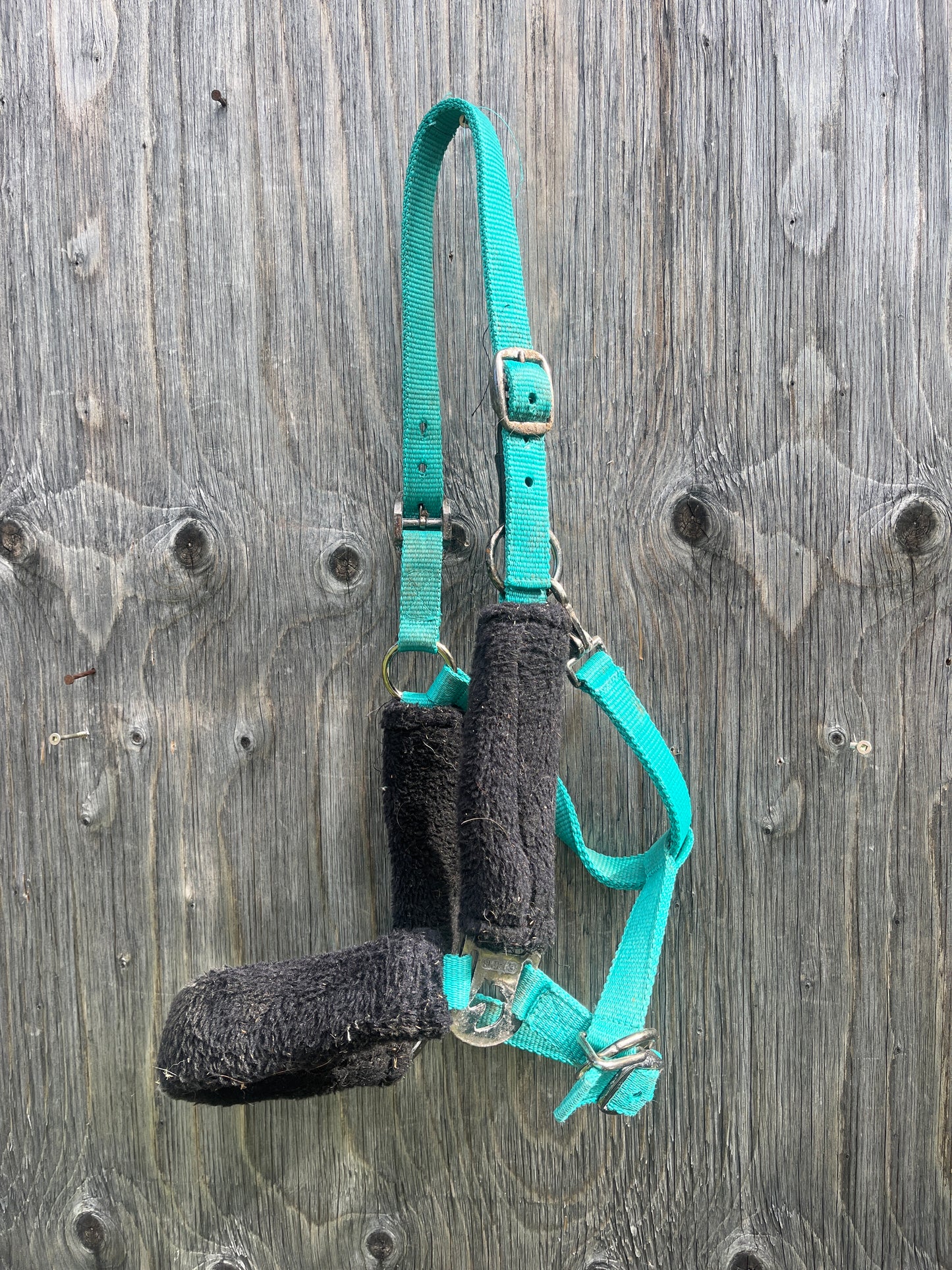 Breakaway halter horse size