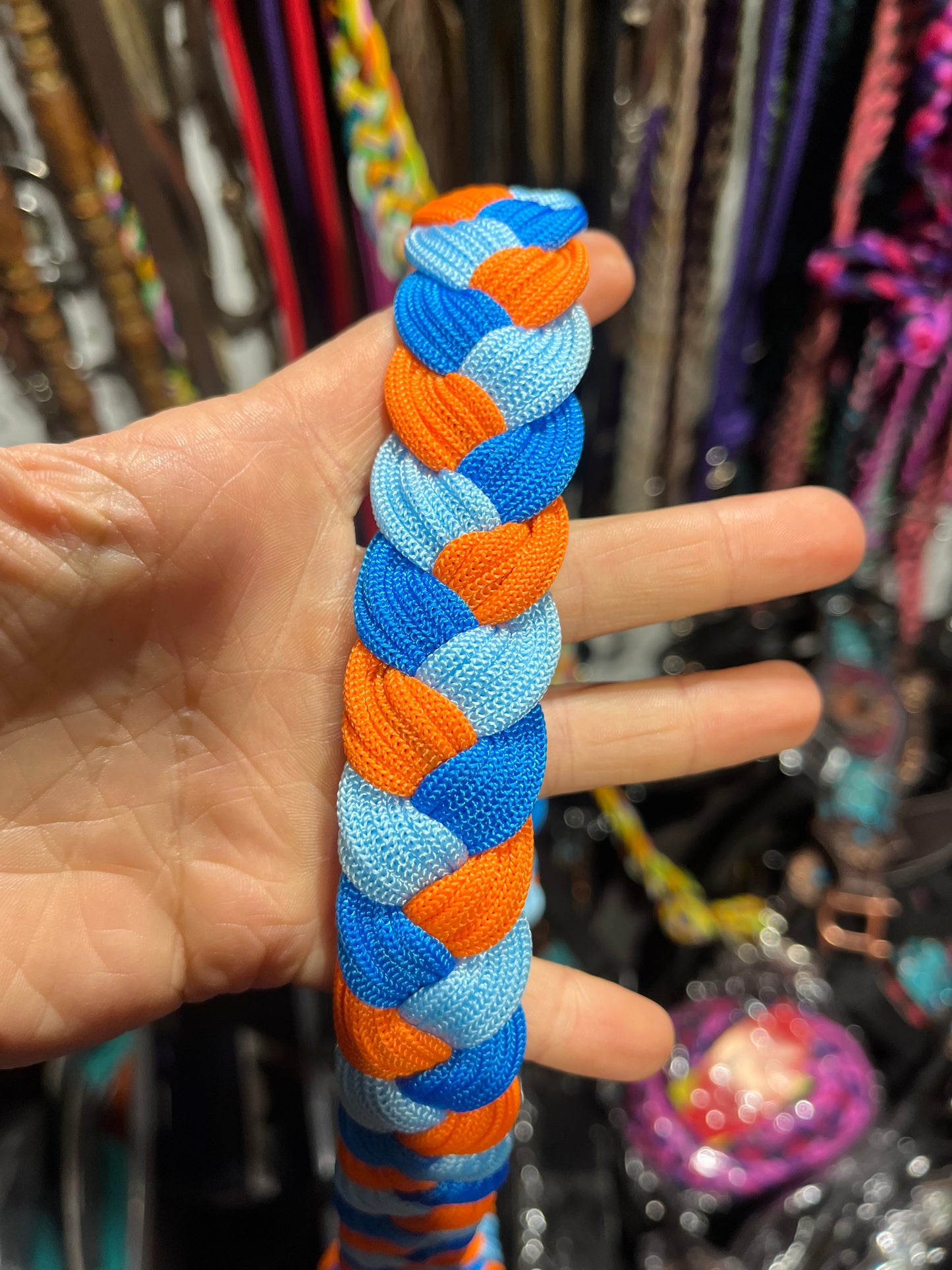 Orange blue reins