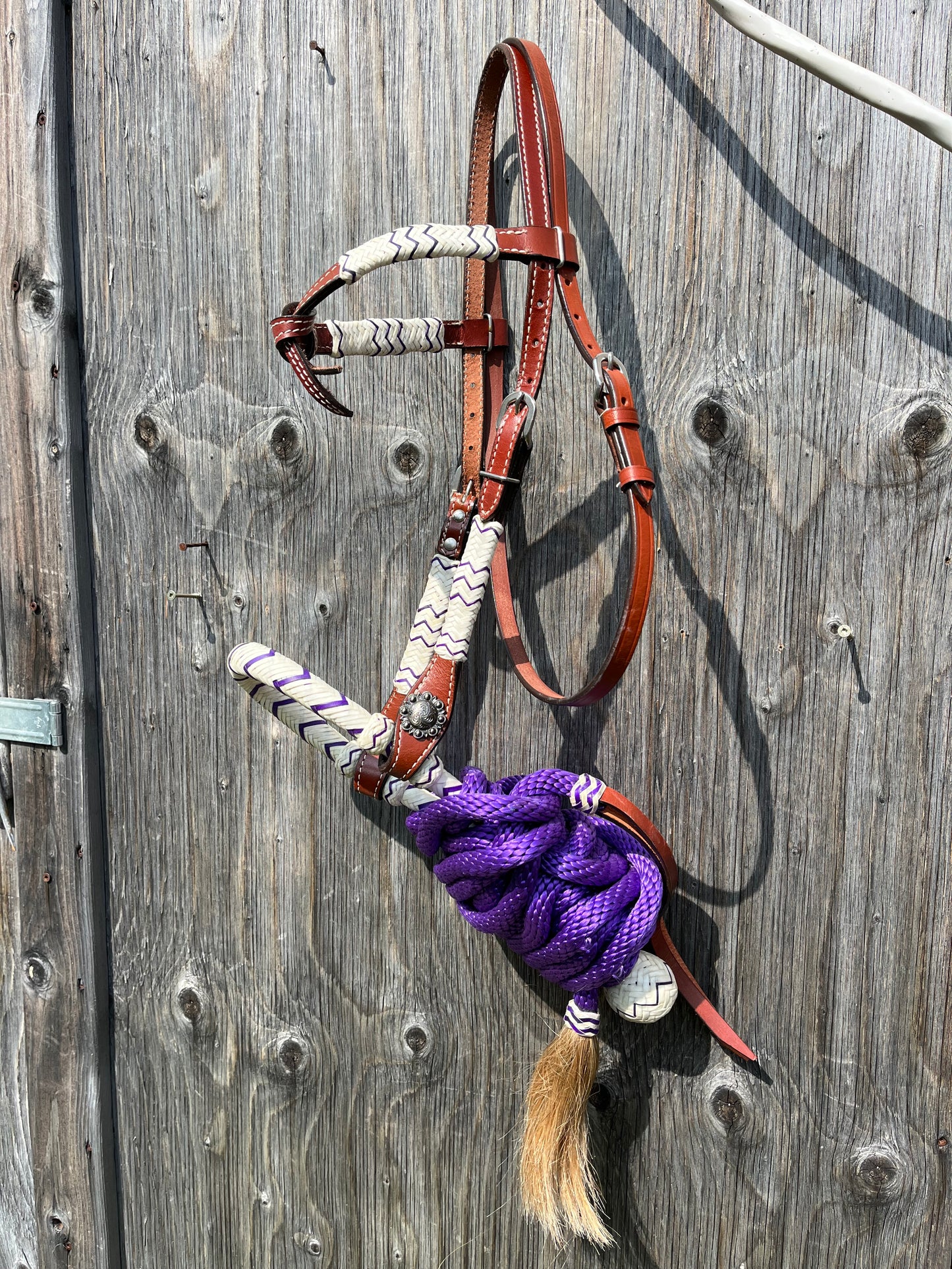 Purple bosal set with mecate
