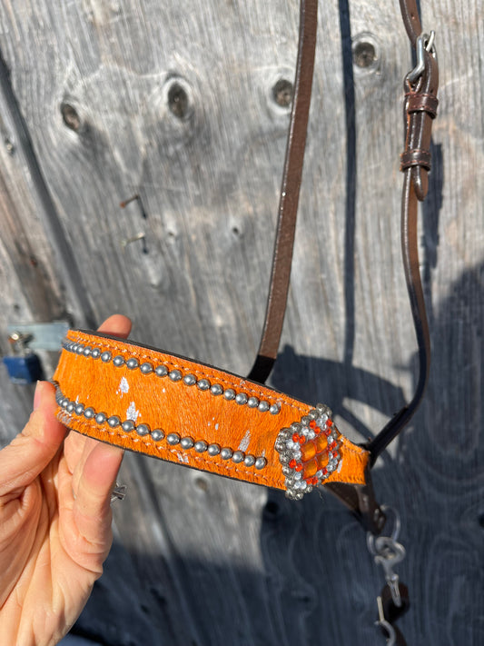 Orange noseband and tie down set