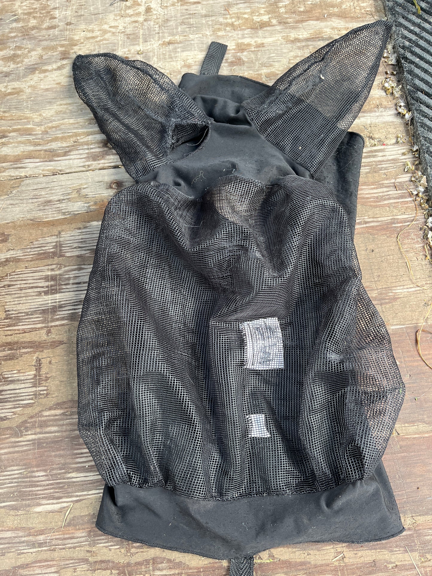 Fly mask has hole in ear