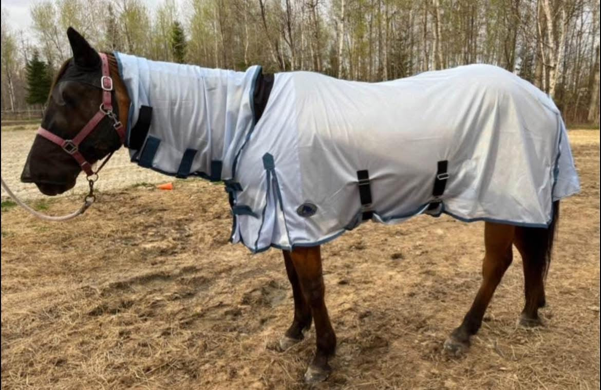 Lavender flysheets with neck and belly band - denim photo to show fit and full sheet