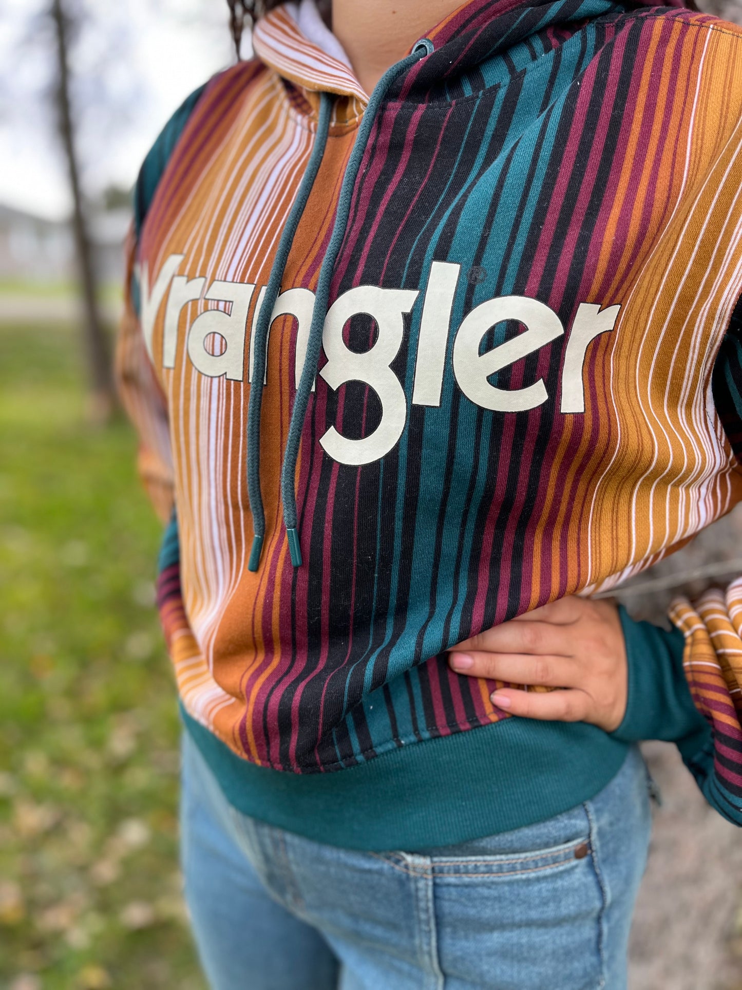 Wrangler serape hoody
