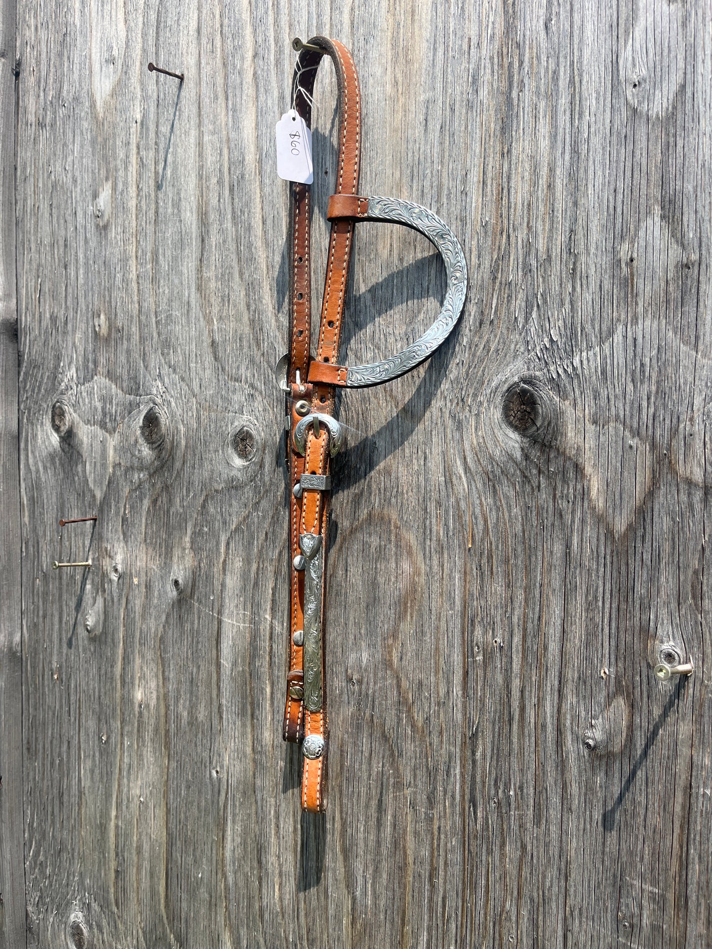 Circle y show headstall
