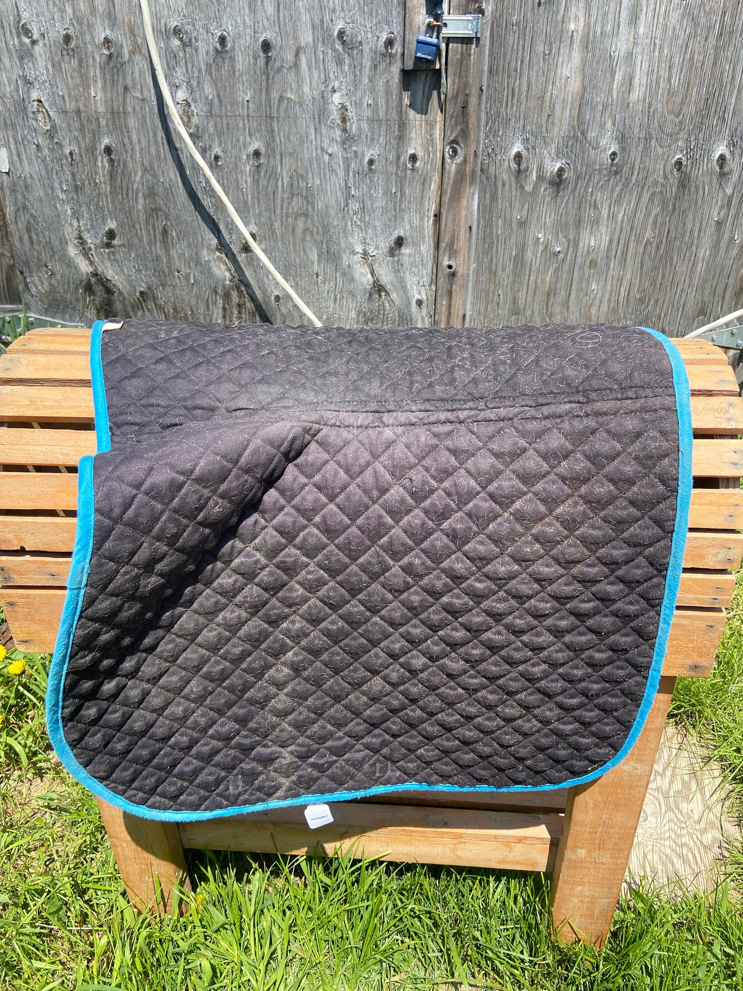 Black pad with blue trim