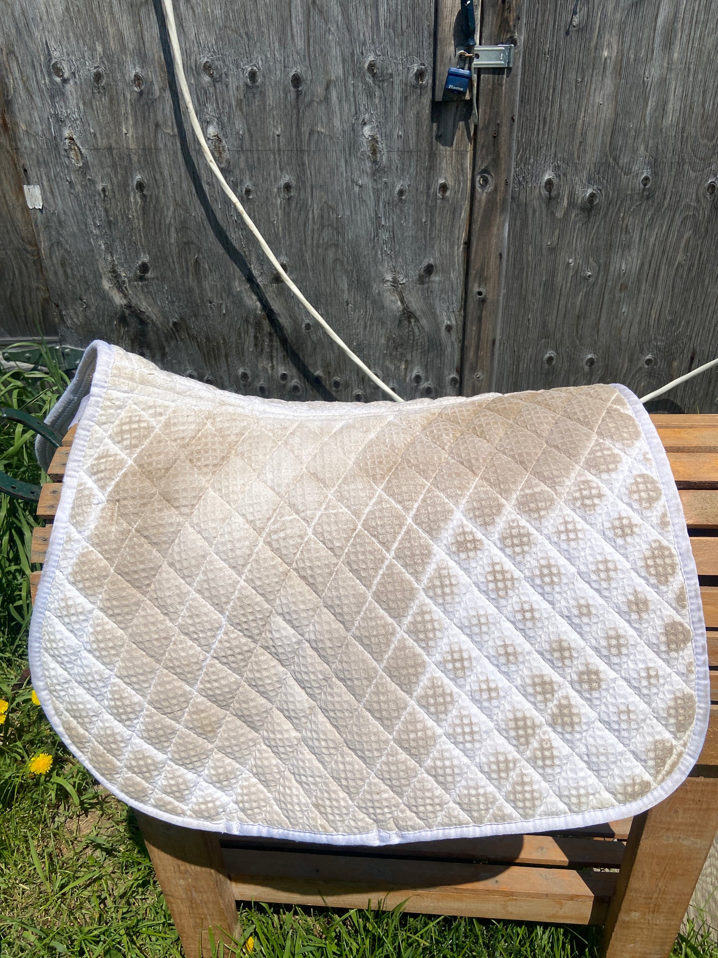 White shedrow pad stained