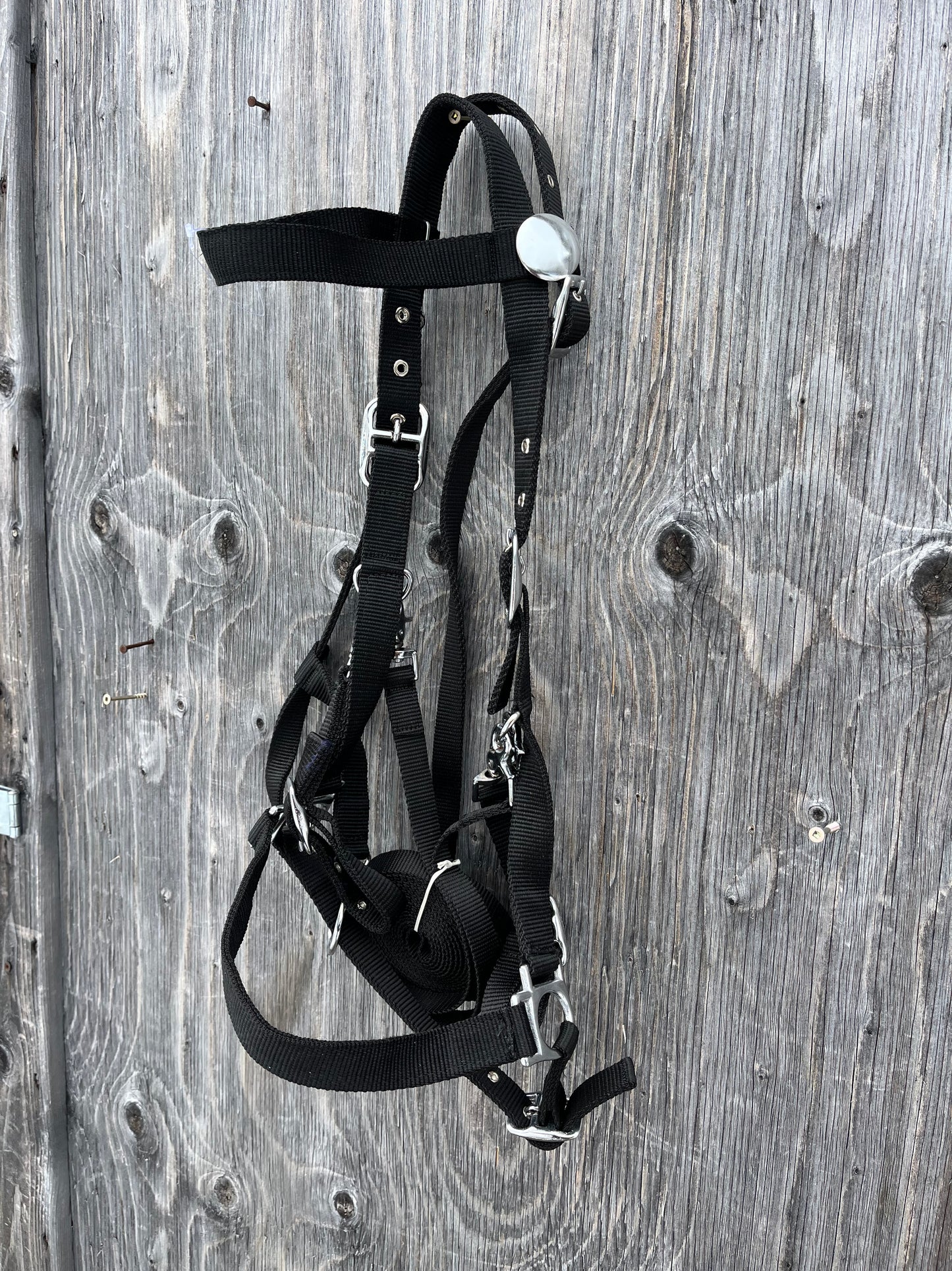 Black halter/ trail bridle with removable bit loops so you can ride with or without a bit