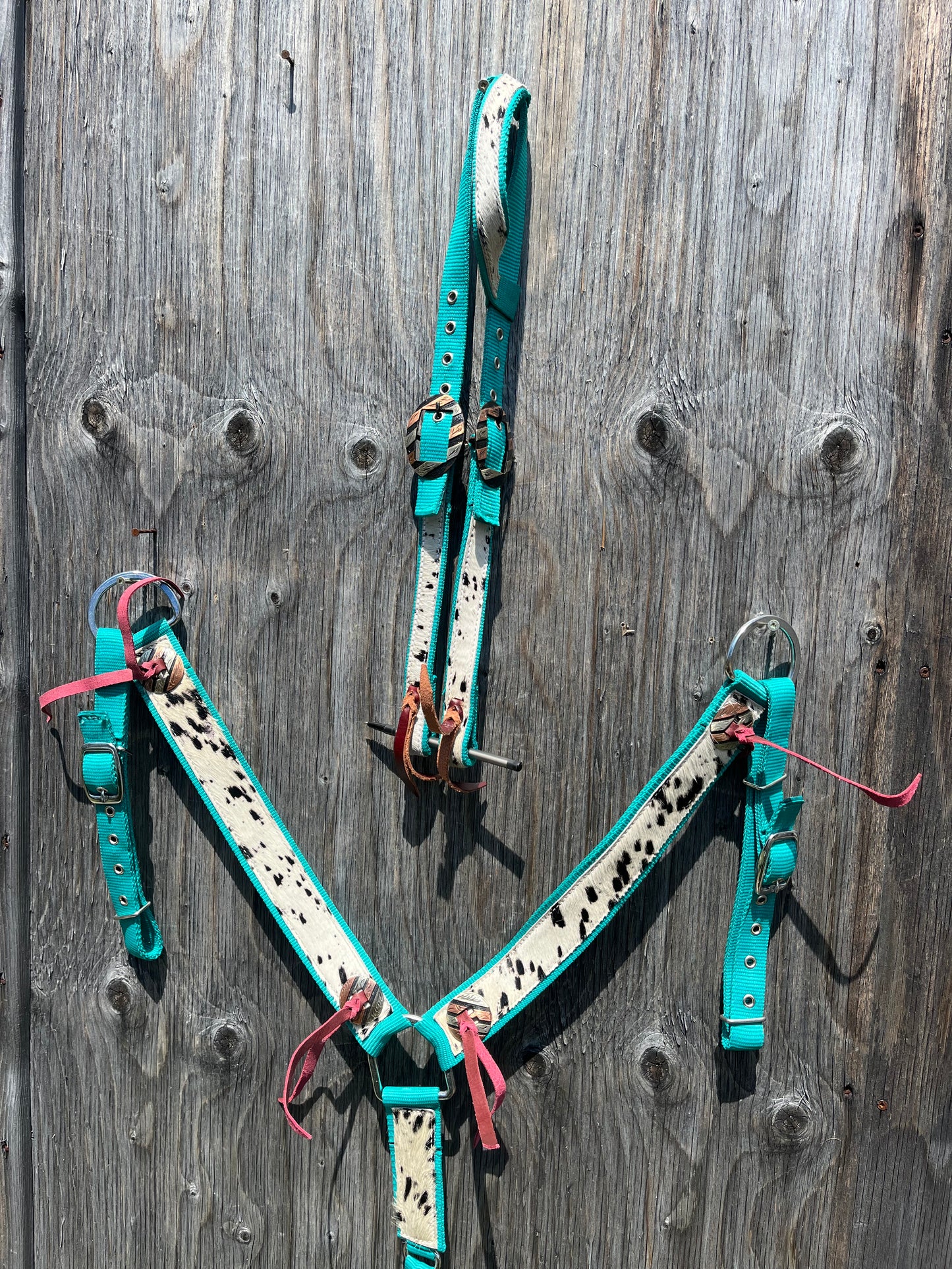 Teal cowhide nylon tack set