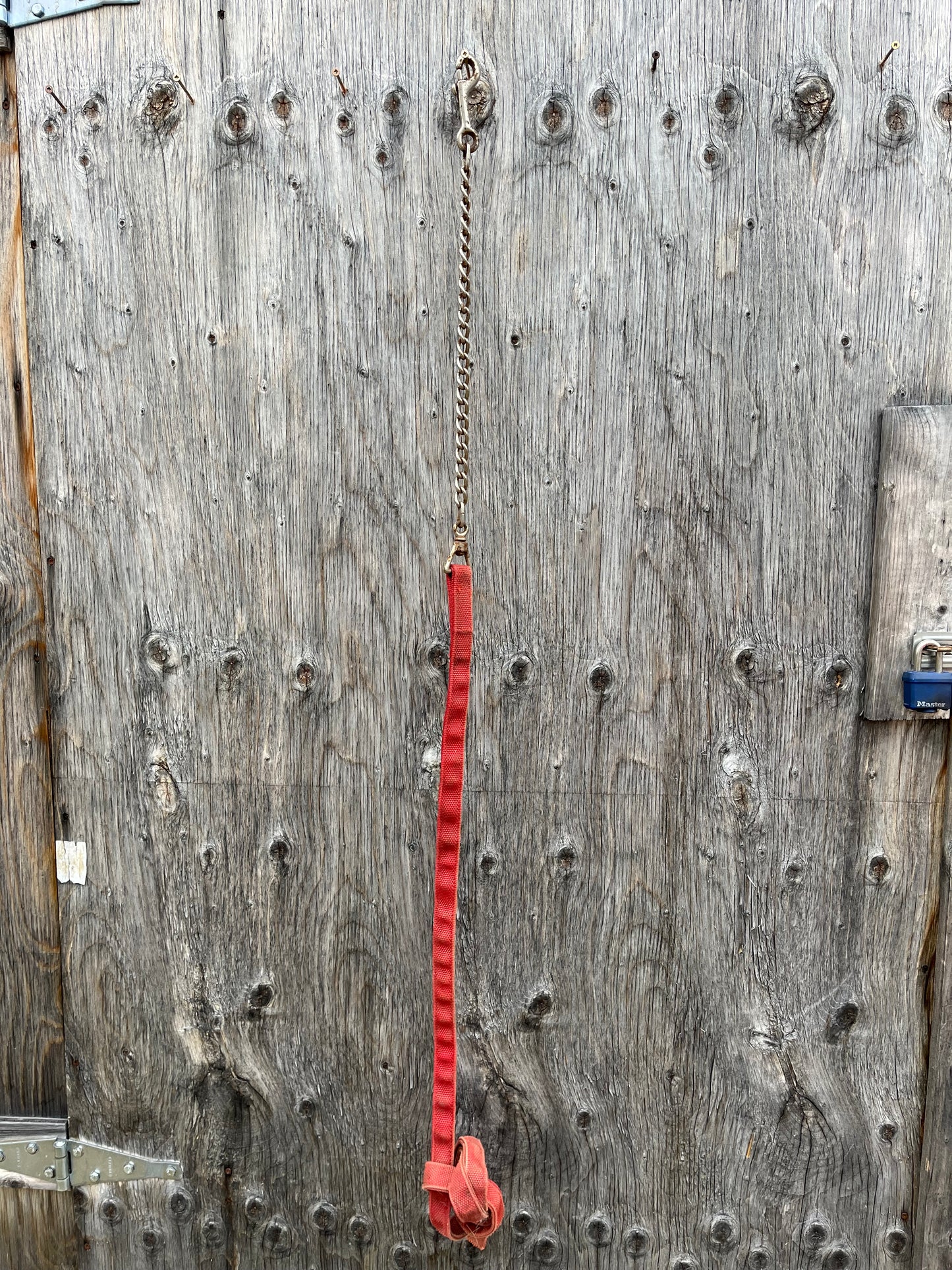 Red nylon lead with chain