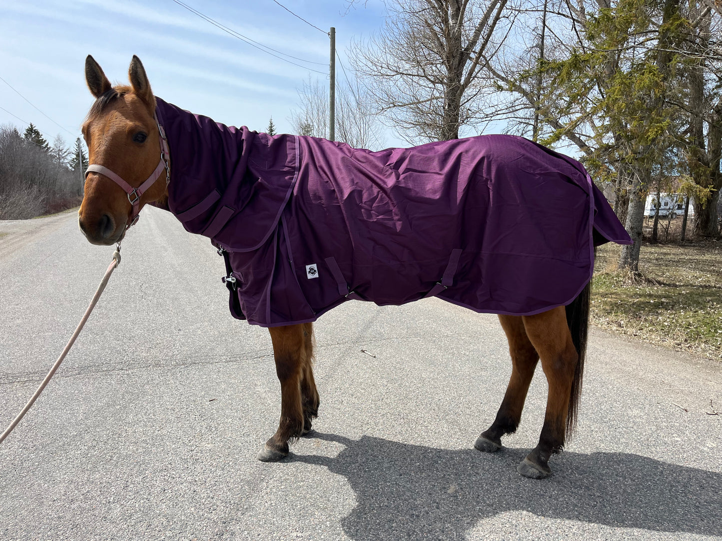 Purple rainsheet with removable hood