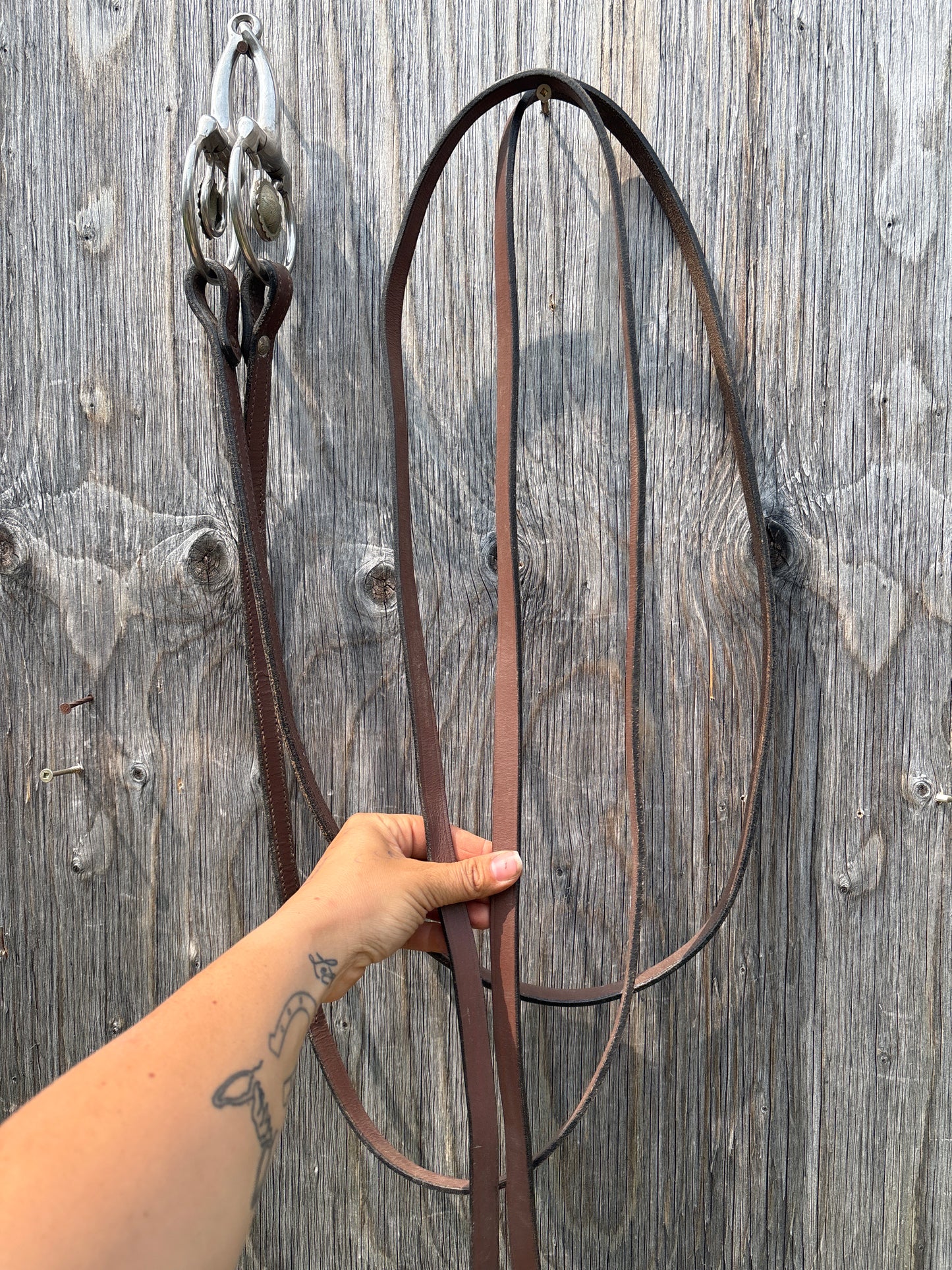 Reins with snaffle