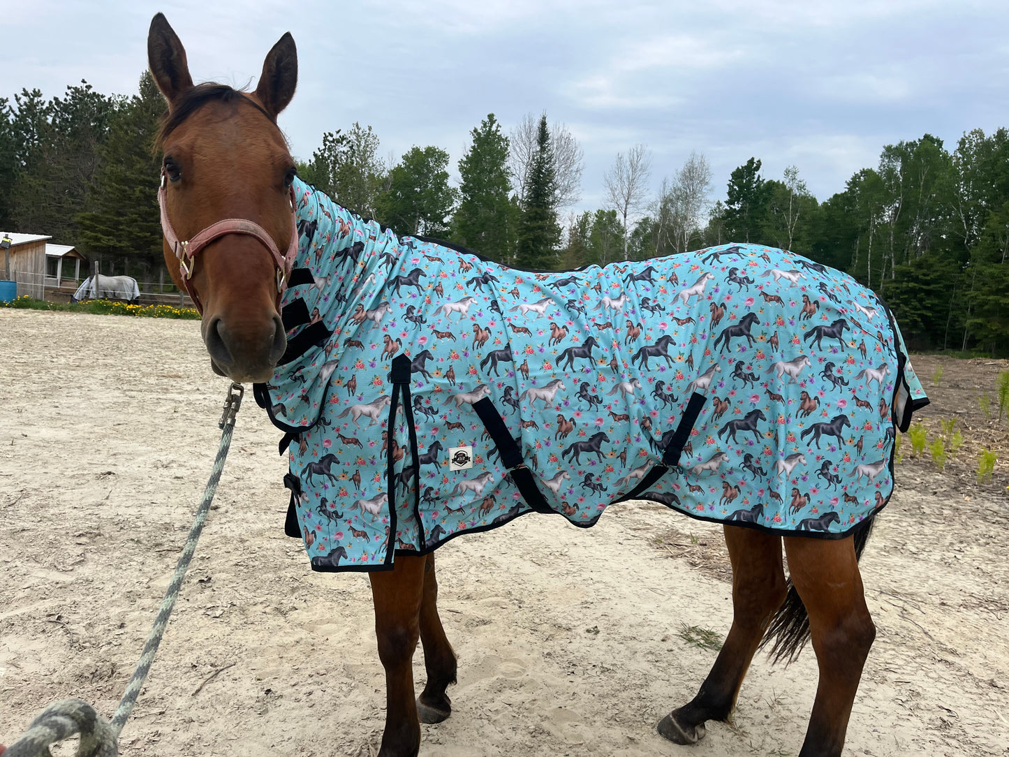 Horse print flysheet with neck