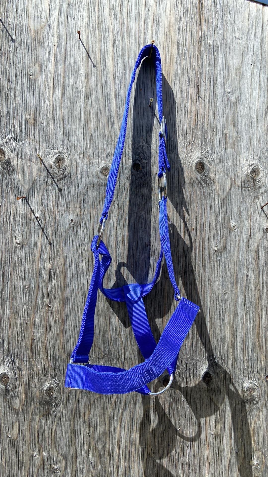 Draft halters 4 colours