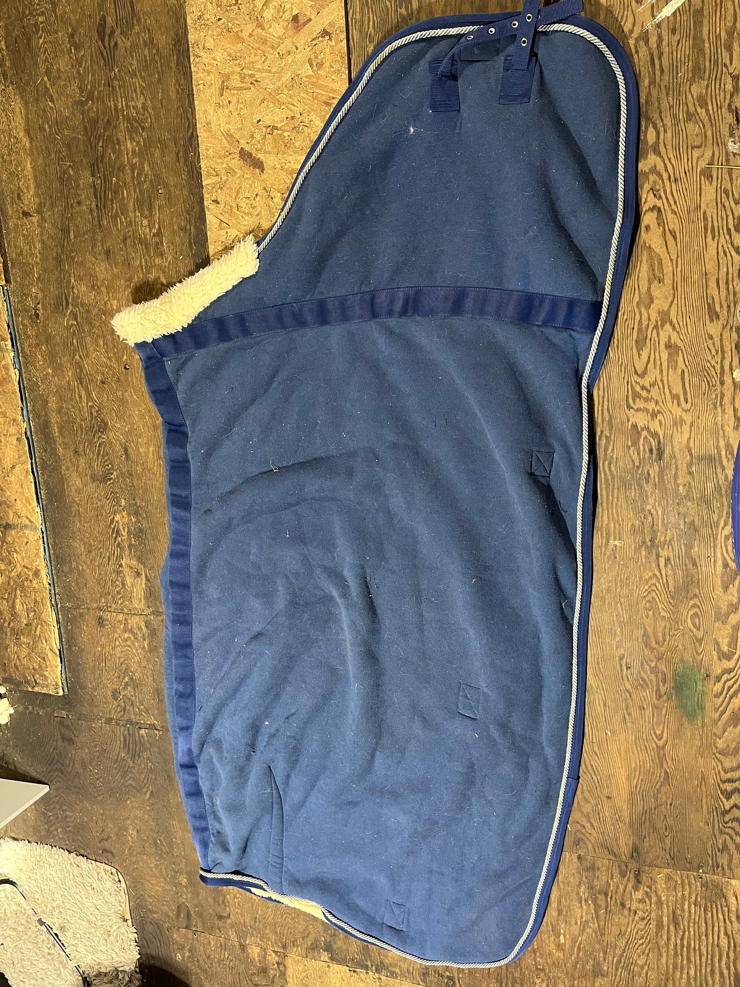 75” weatherbeeta Pearl fleece lined stable / show rug