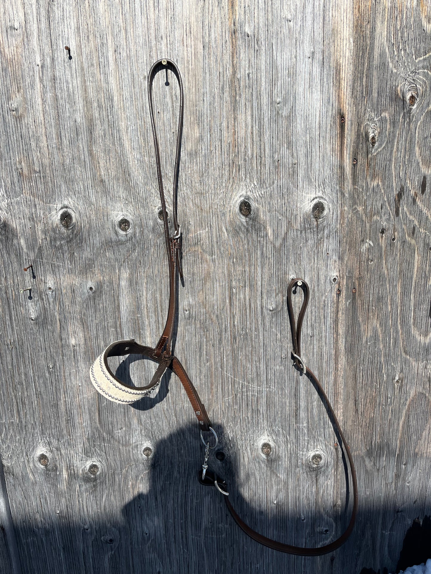 White noseband and tie down set