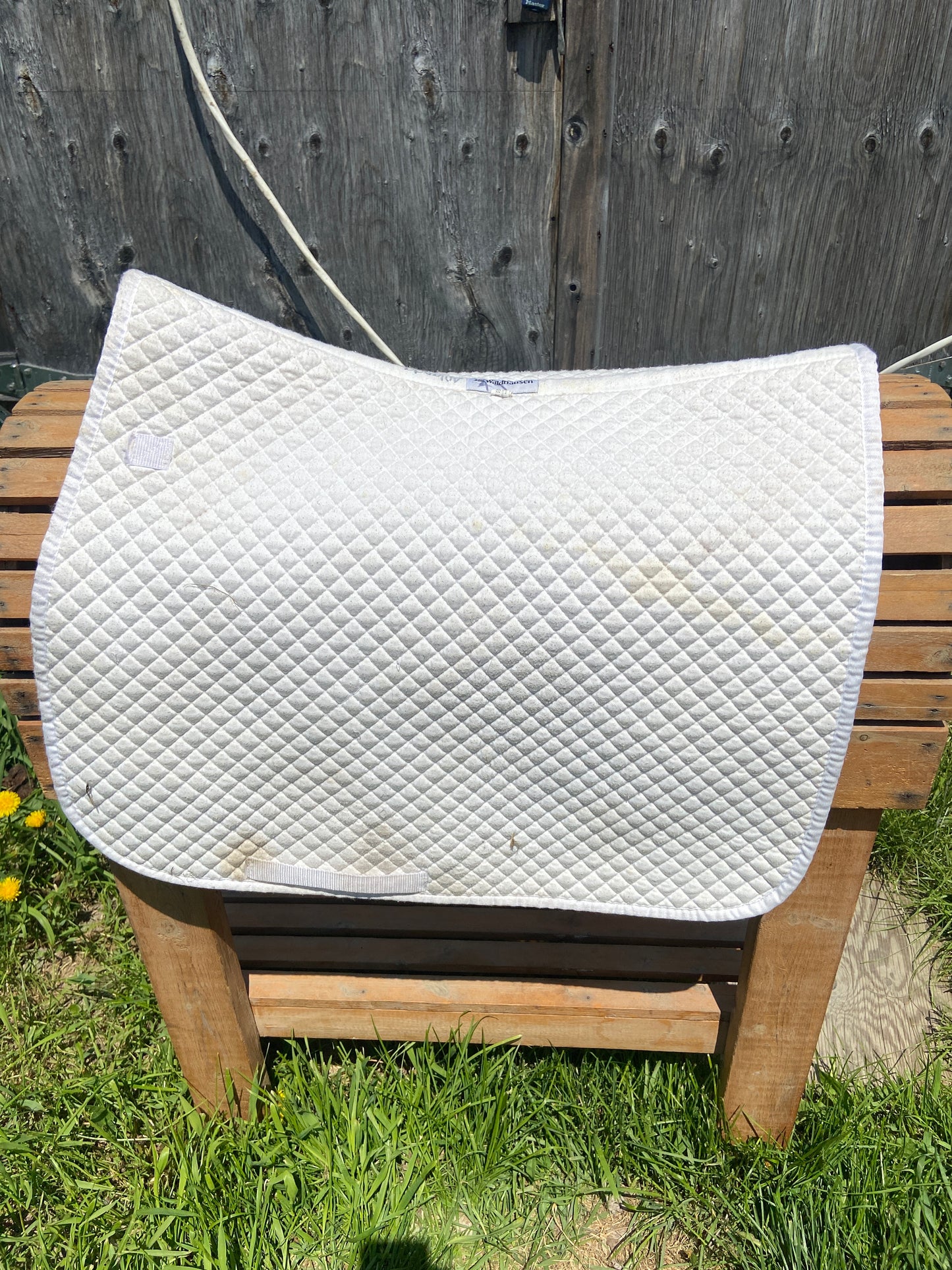Waldhausen full pad