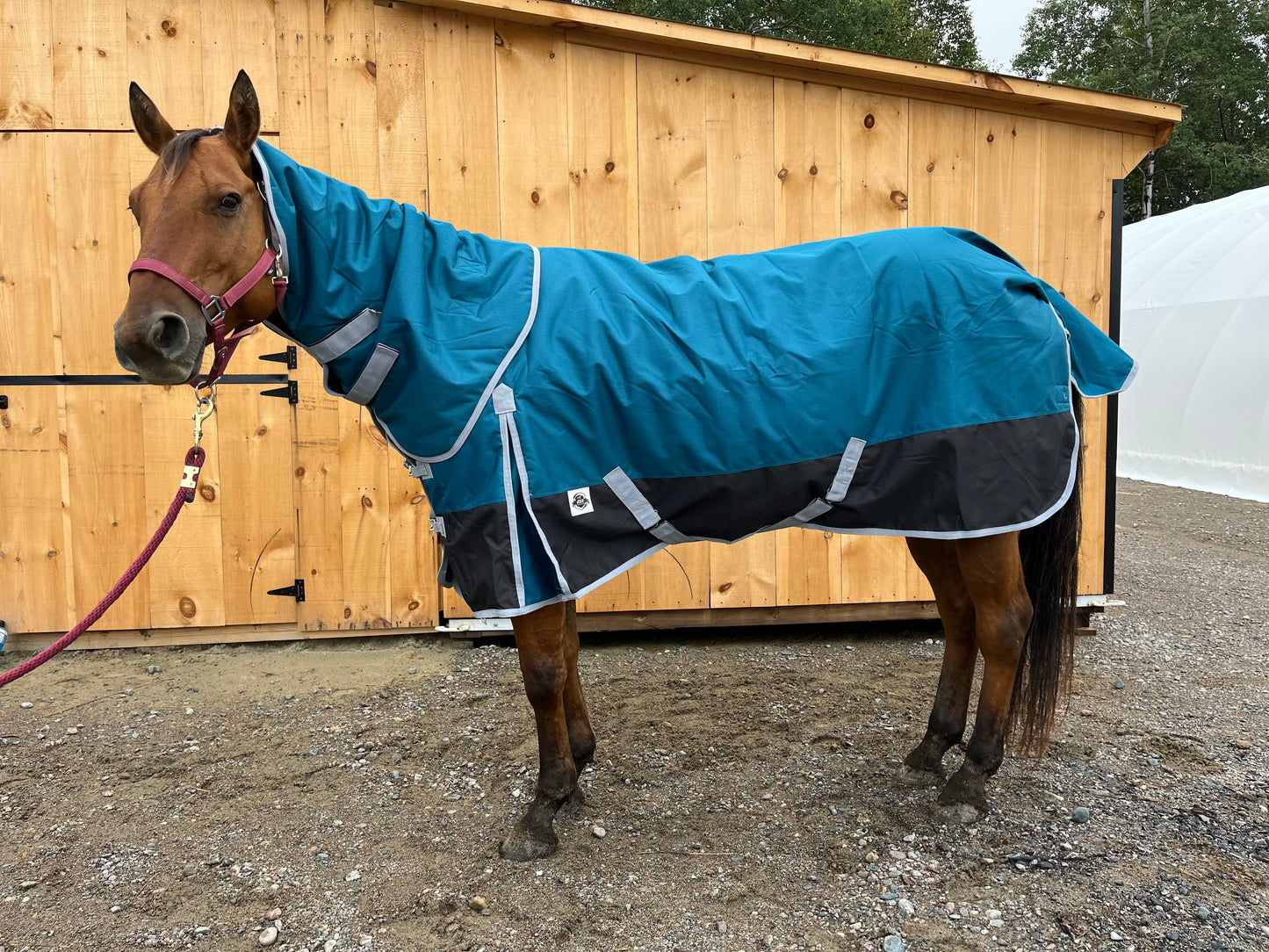 Aqua 200 gram winter turnout with removable hood