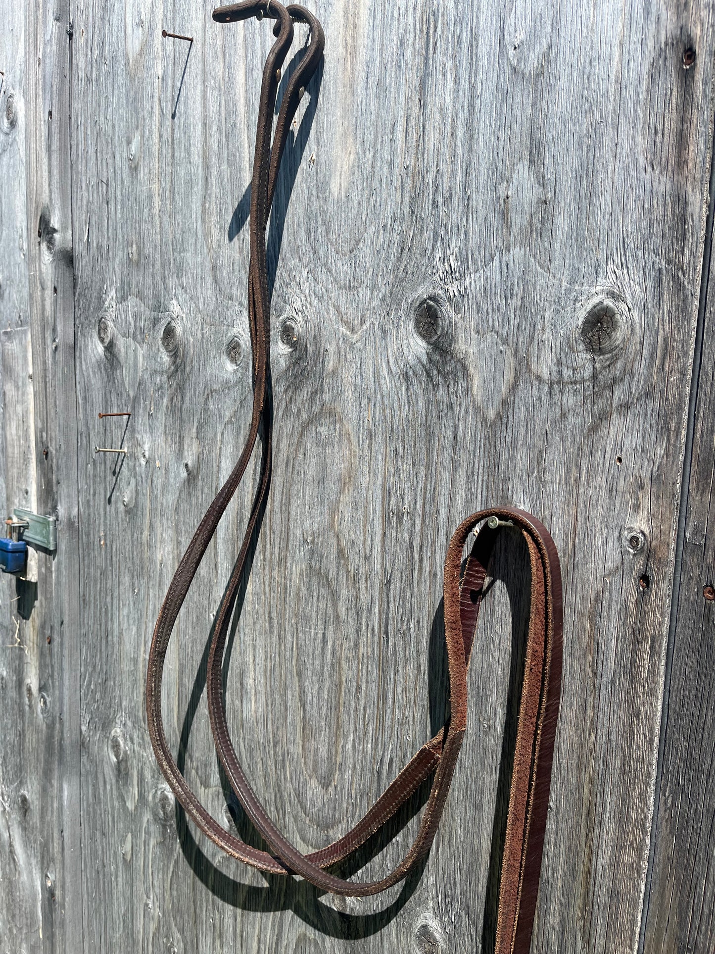 Billy cook split reins