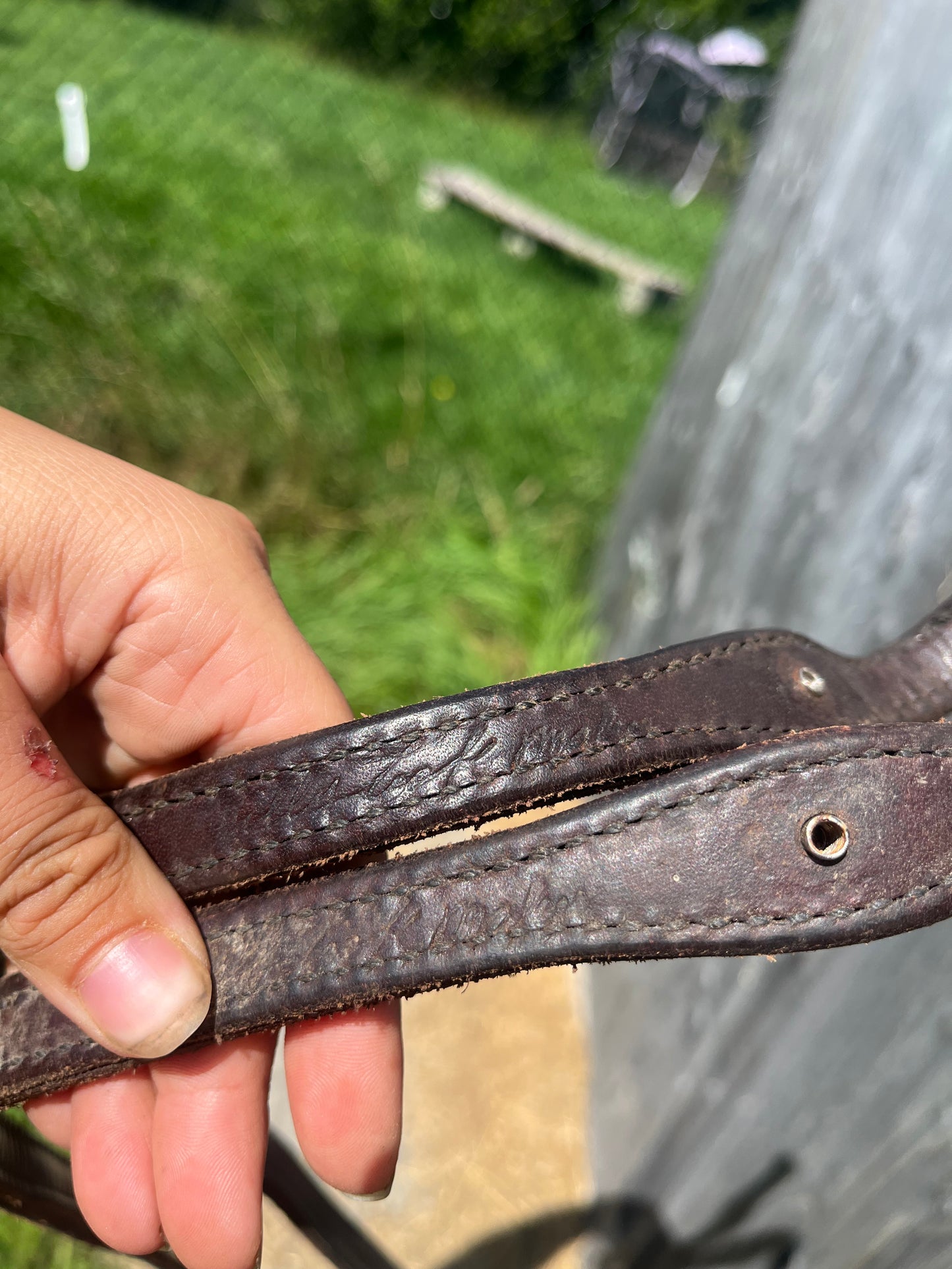 Billy cook split reins