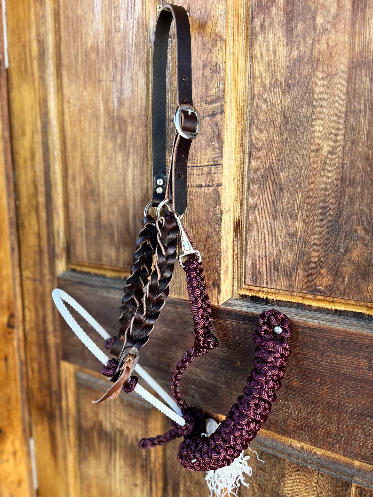 Wine Lariat nose halter set with muletape matching lead, leather braided cheeks.