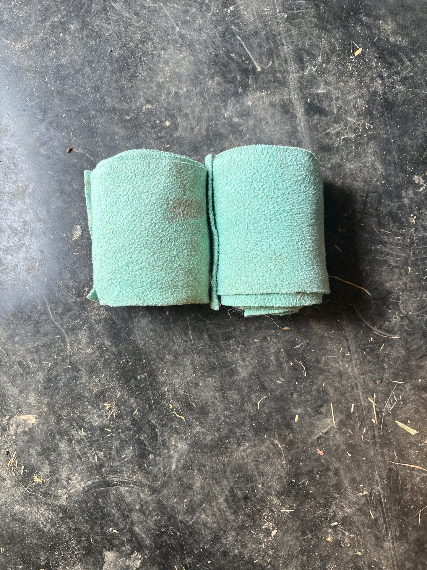 2 light blue polos