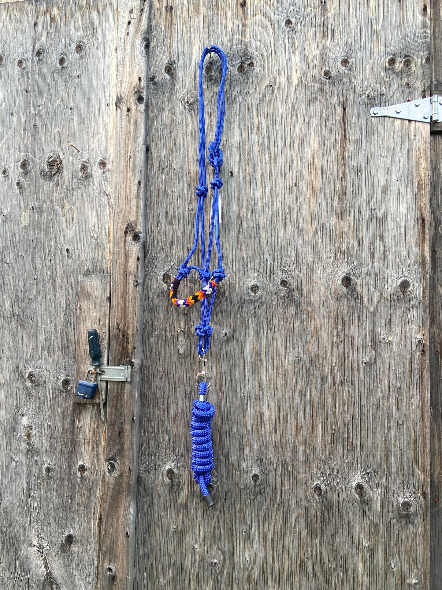 Rope halter with lead