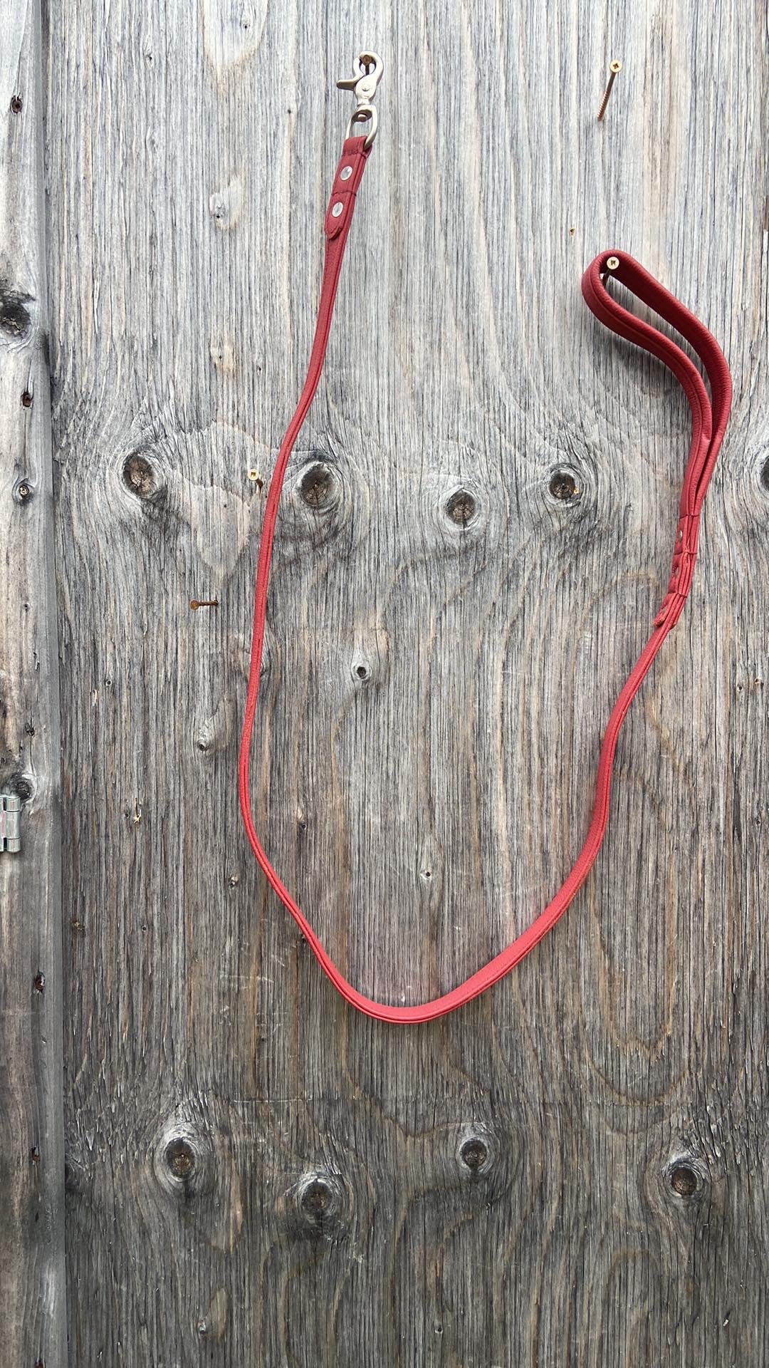 Dog Leash