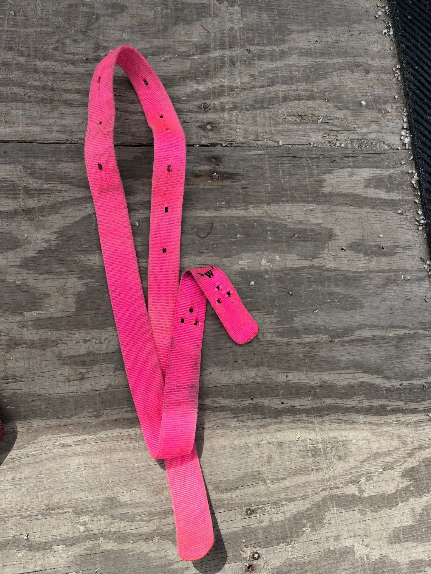 Pink latigo needs leather tie