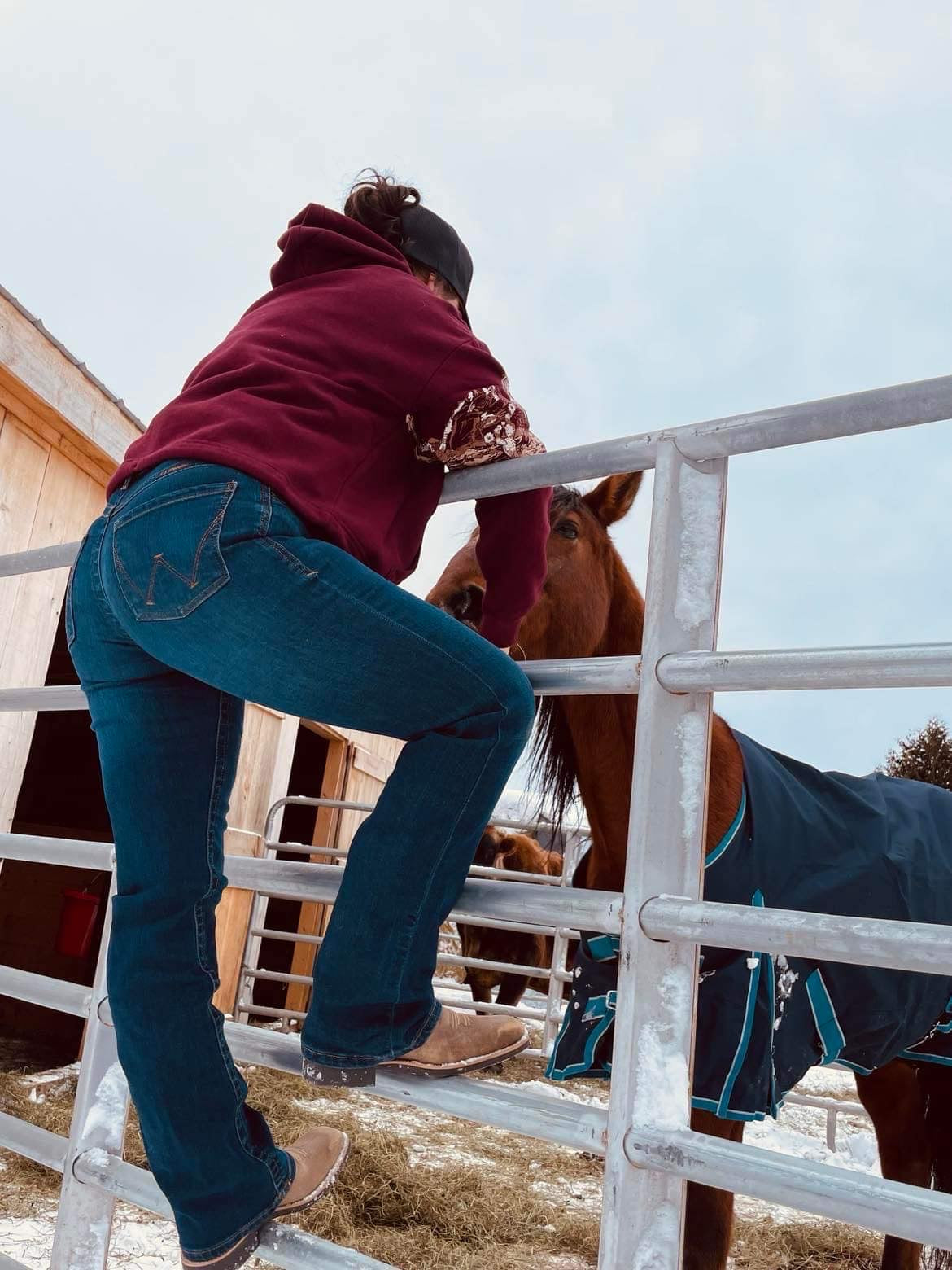 Wrangler the ultimate riding jeans , made for women who were made for riding, bootcut willow